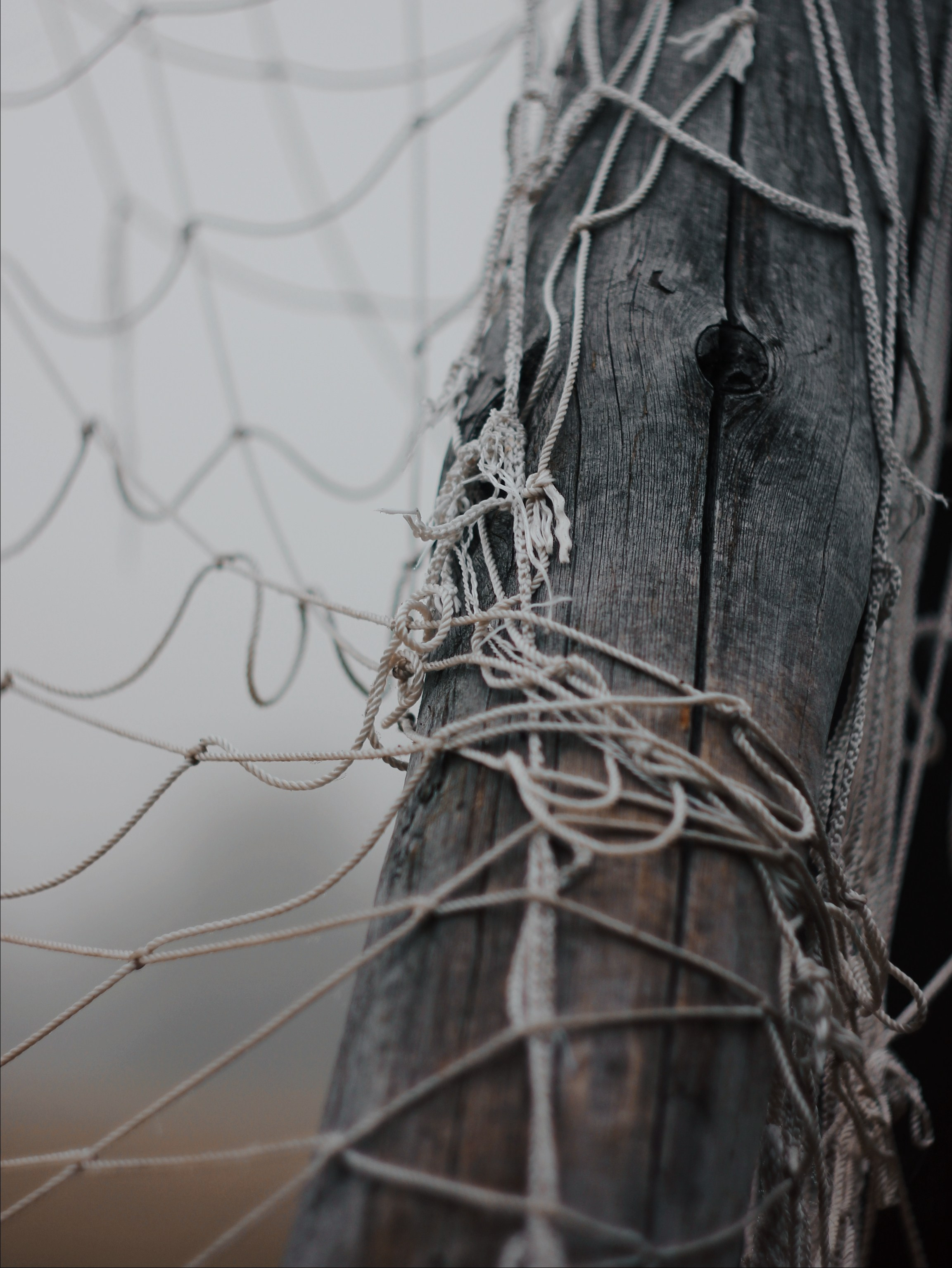 Меланхолия августа. С любовью, фотохудожник