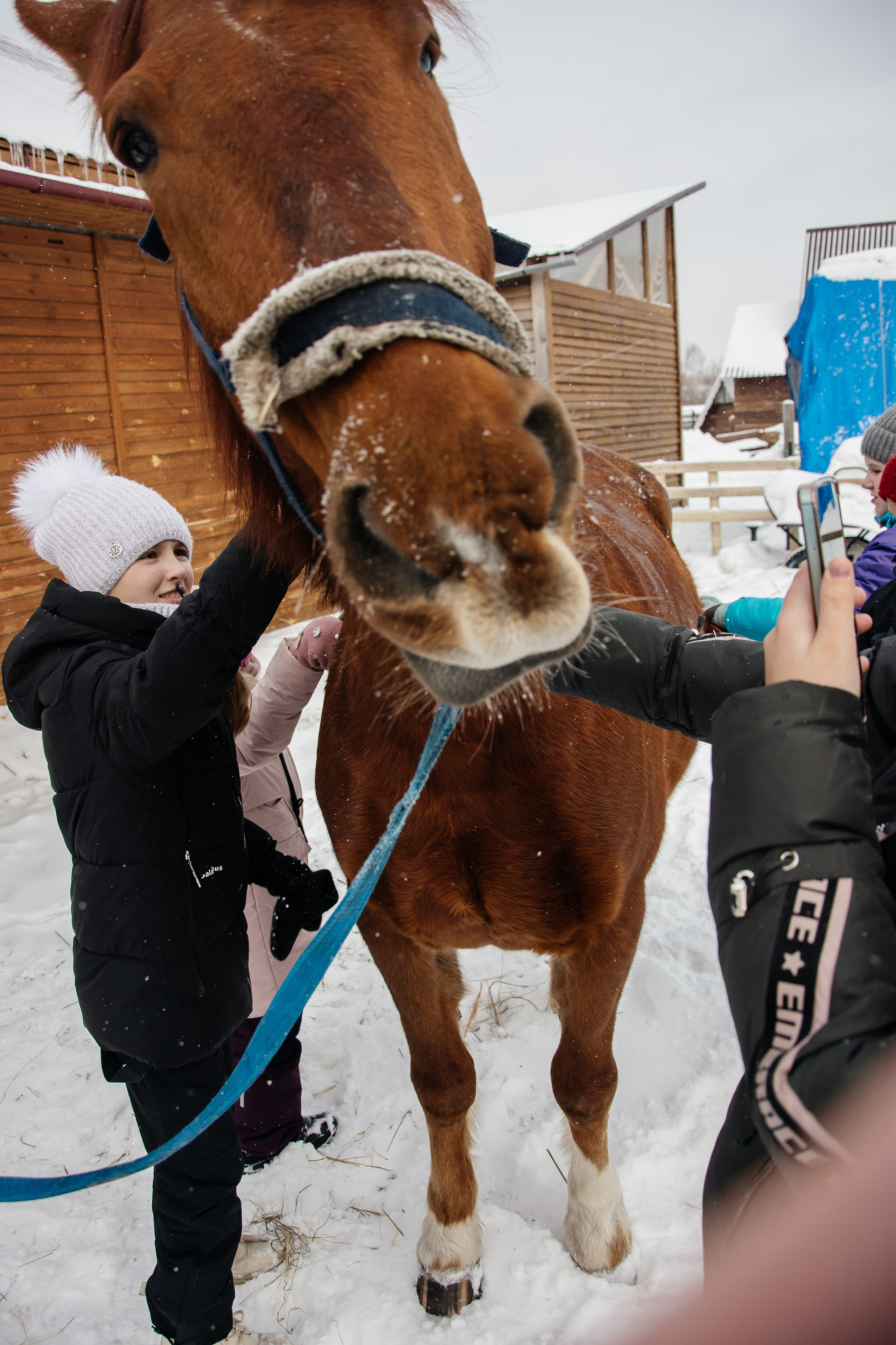 Детская прогулка. Фотограф на все случаи