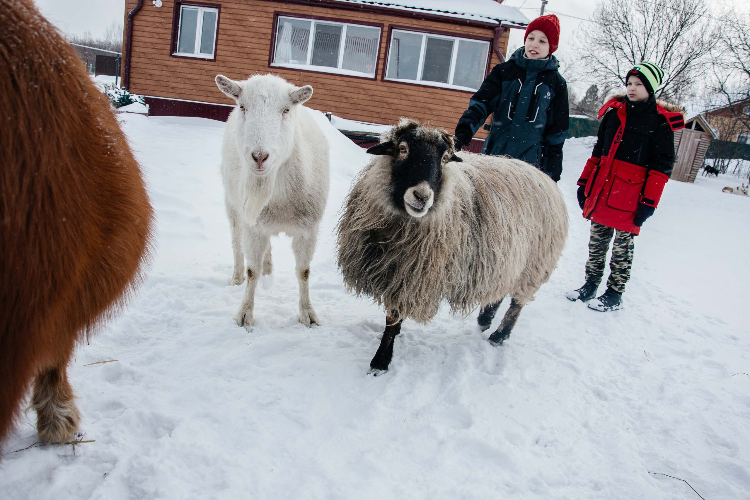 Детская прогулка. Фотограф на все случаи