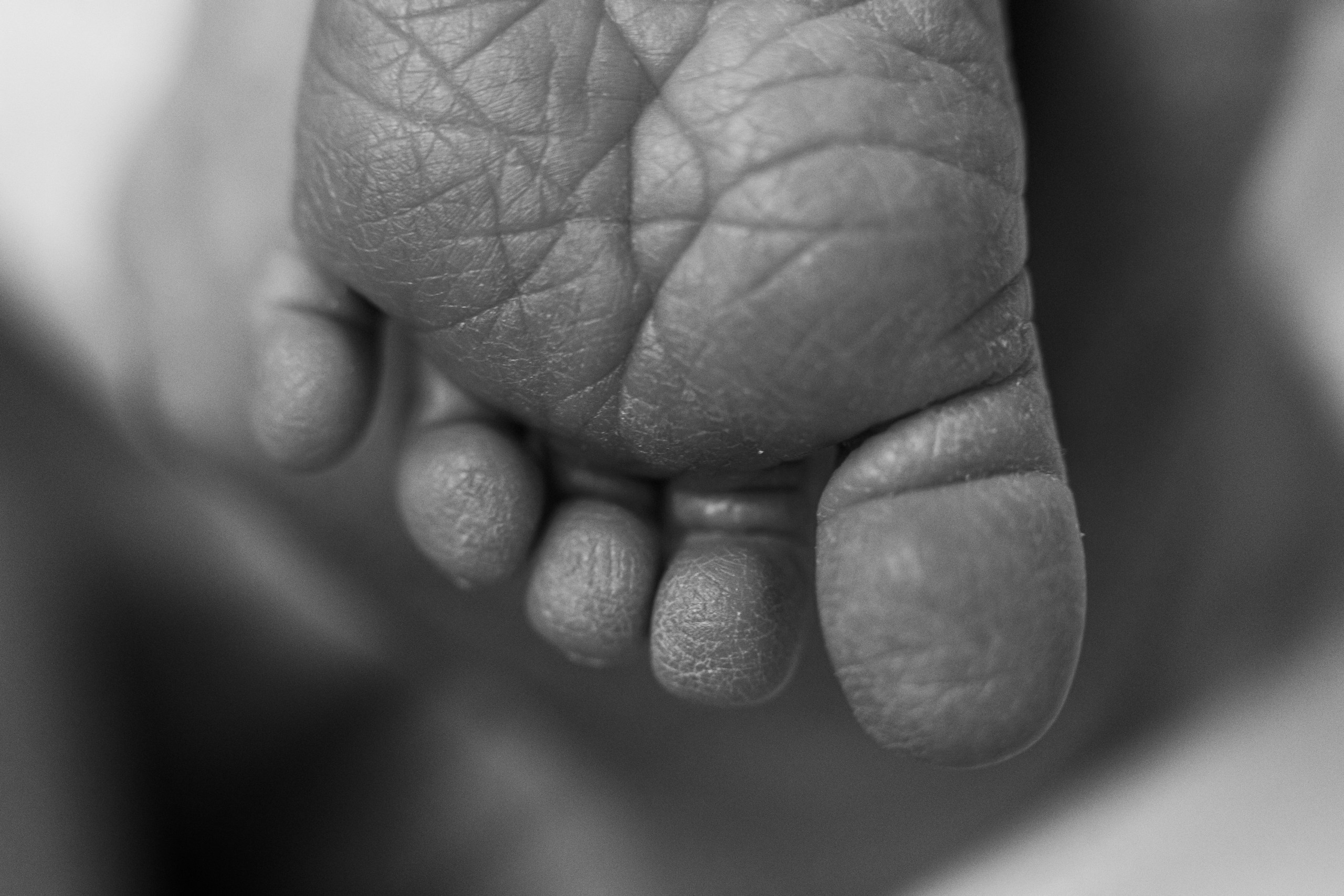 Фотограф на роды Екатерина Сысоева. Портфолио. Фотограф на роды в Санкт-Петербурге Екатерина Сысоева