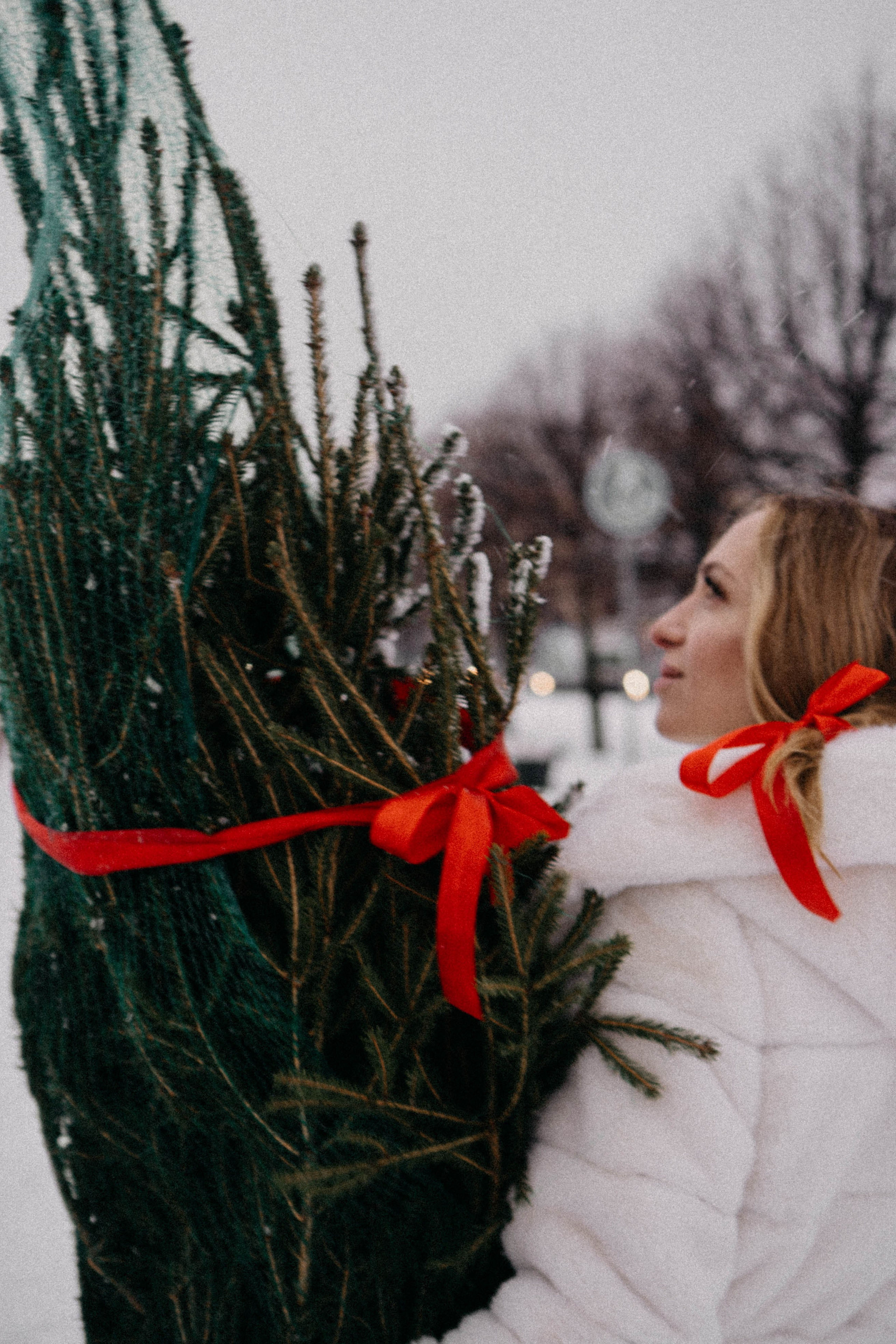 Новогодняя. Профессиональный фотограф, Санкт-Петербург — Виктория Богомолова