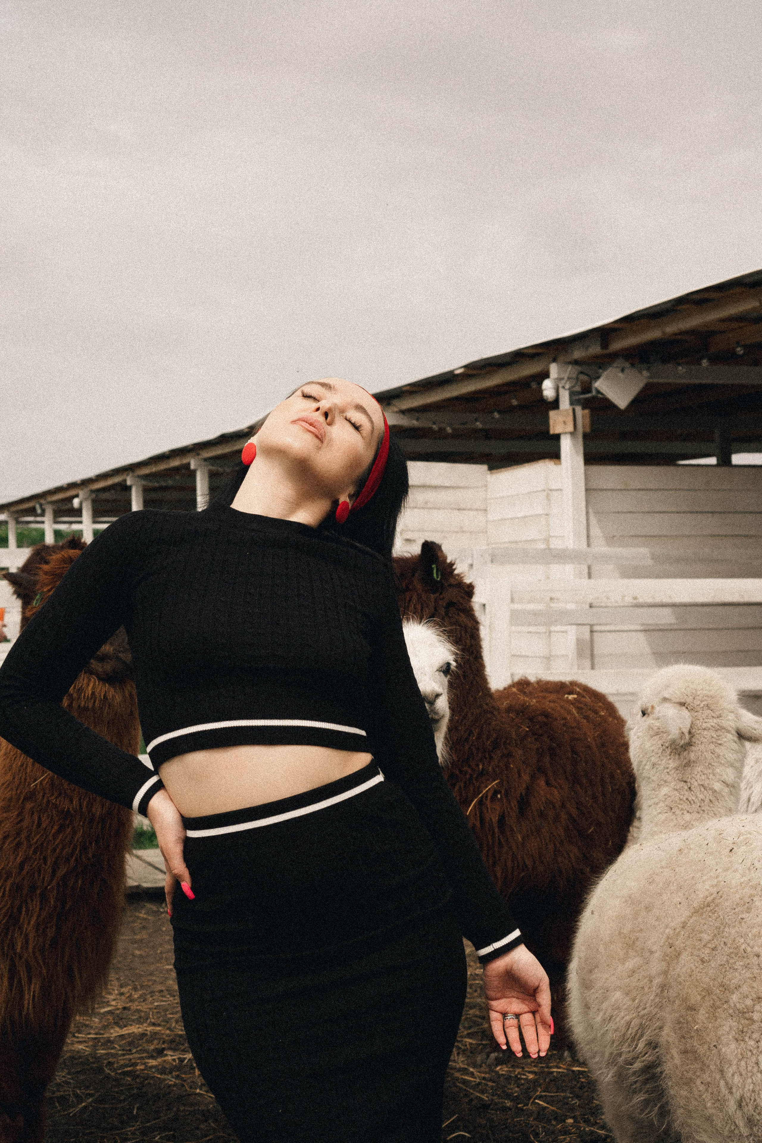 Ферма Альпак. Профессиональный фотограф, Санкт-Петербург — Виктория Богомолова