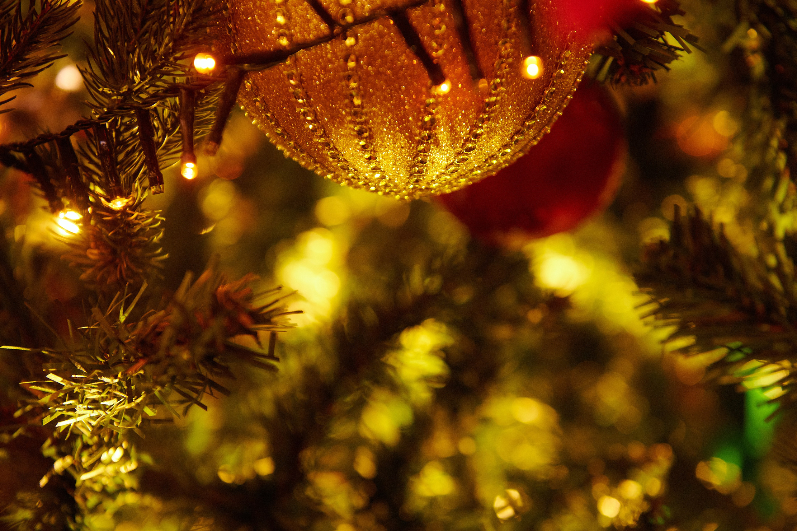 Новый год. Фотограф Роман Арыкин Екатеринбург