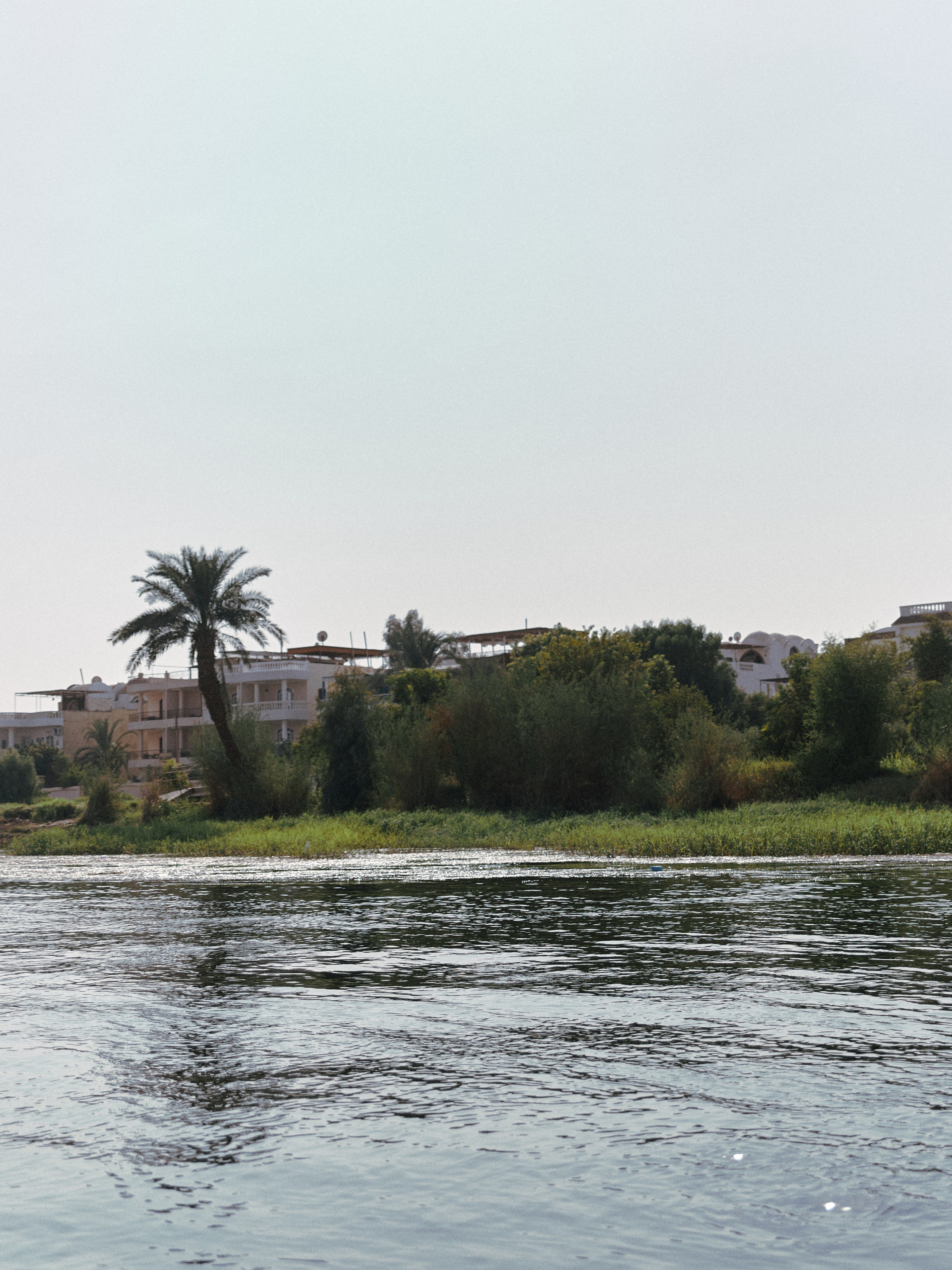 Природа сквозь. Jorgis Talè — photographer, kind person, teacher of arts and other mag