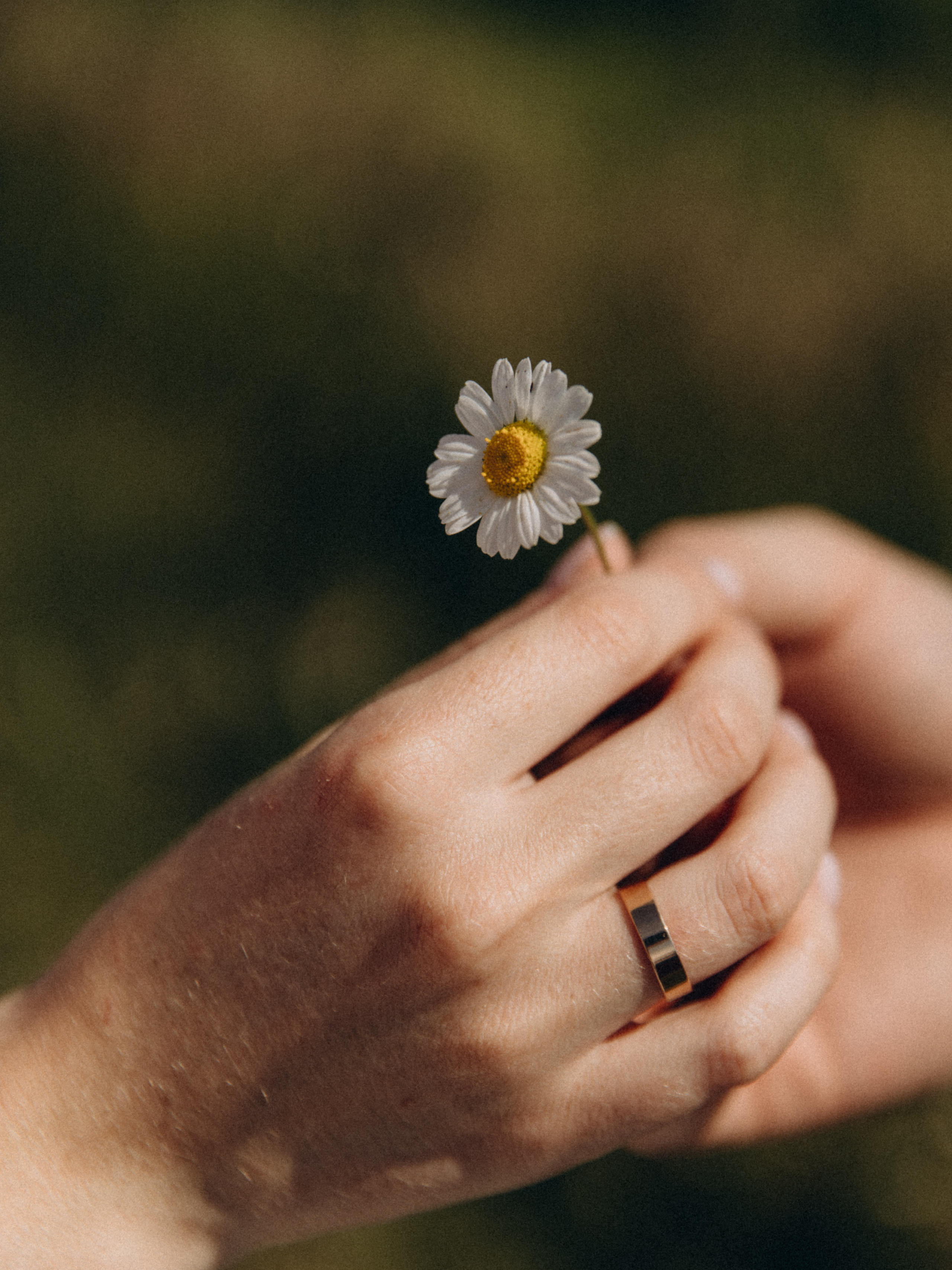 Фотограф Оля Сугробчик. Свадьбы. Свадебный и семейный фотограф Оля Сугробчик. Арзамас, Нижний Новгород и область
