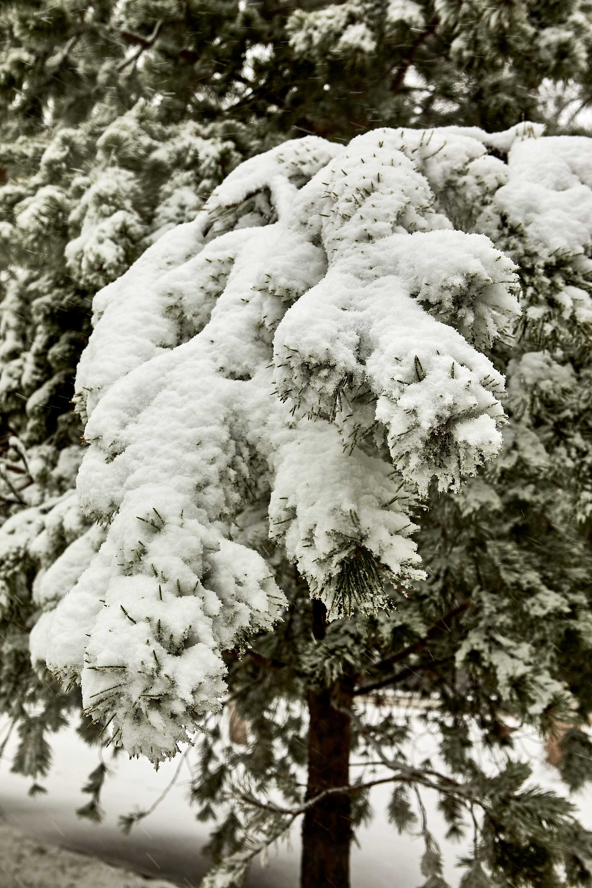 Видовые фото УГНТУ. УГНТУ — Ведущий нефтегазовый вуз России