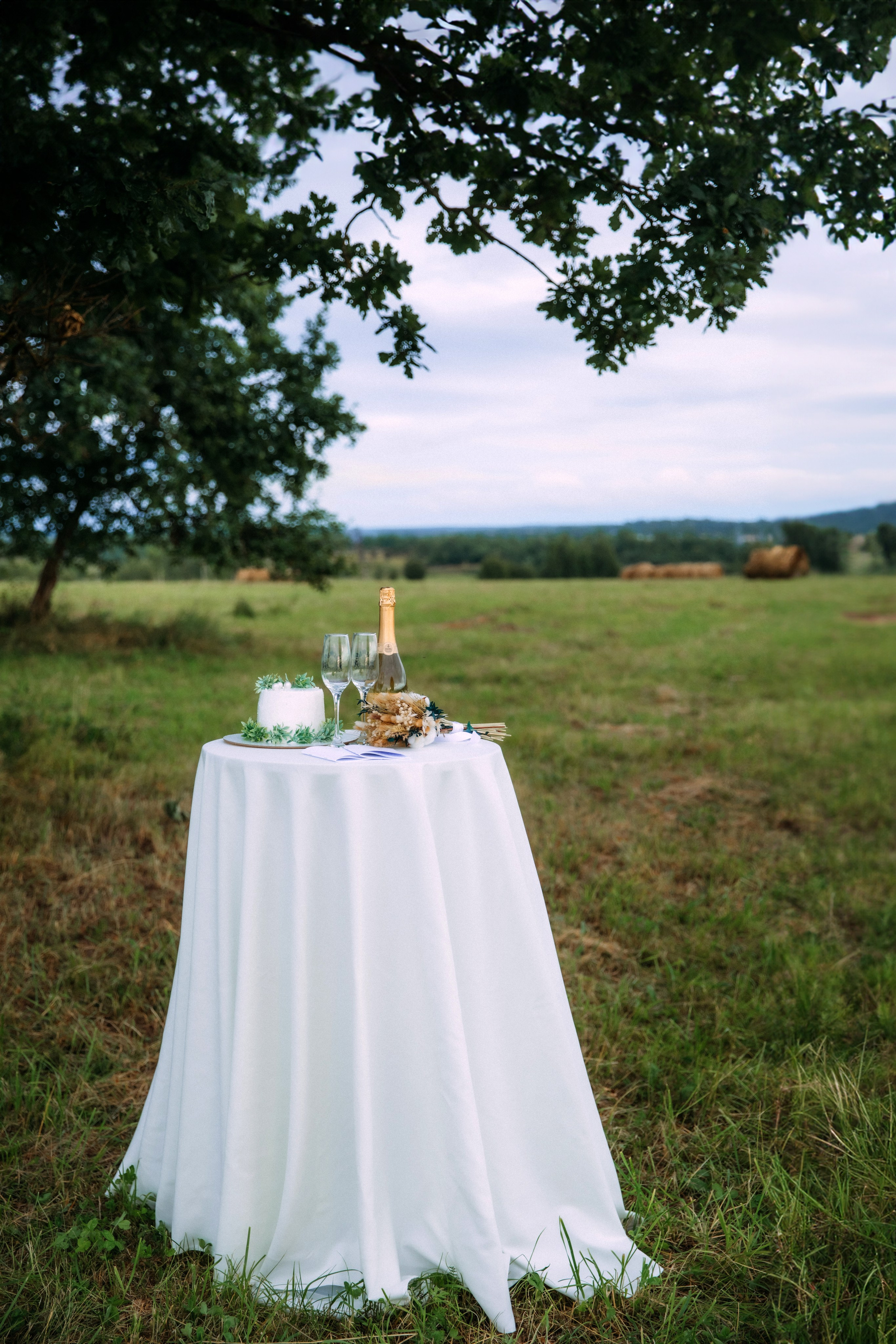 АДЕЛИНА И РОСТИСЛАВ. Женский и семейный фотограф Елена Петрова