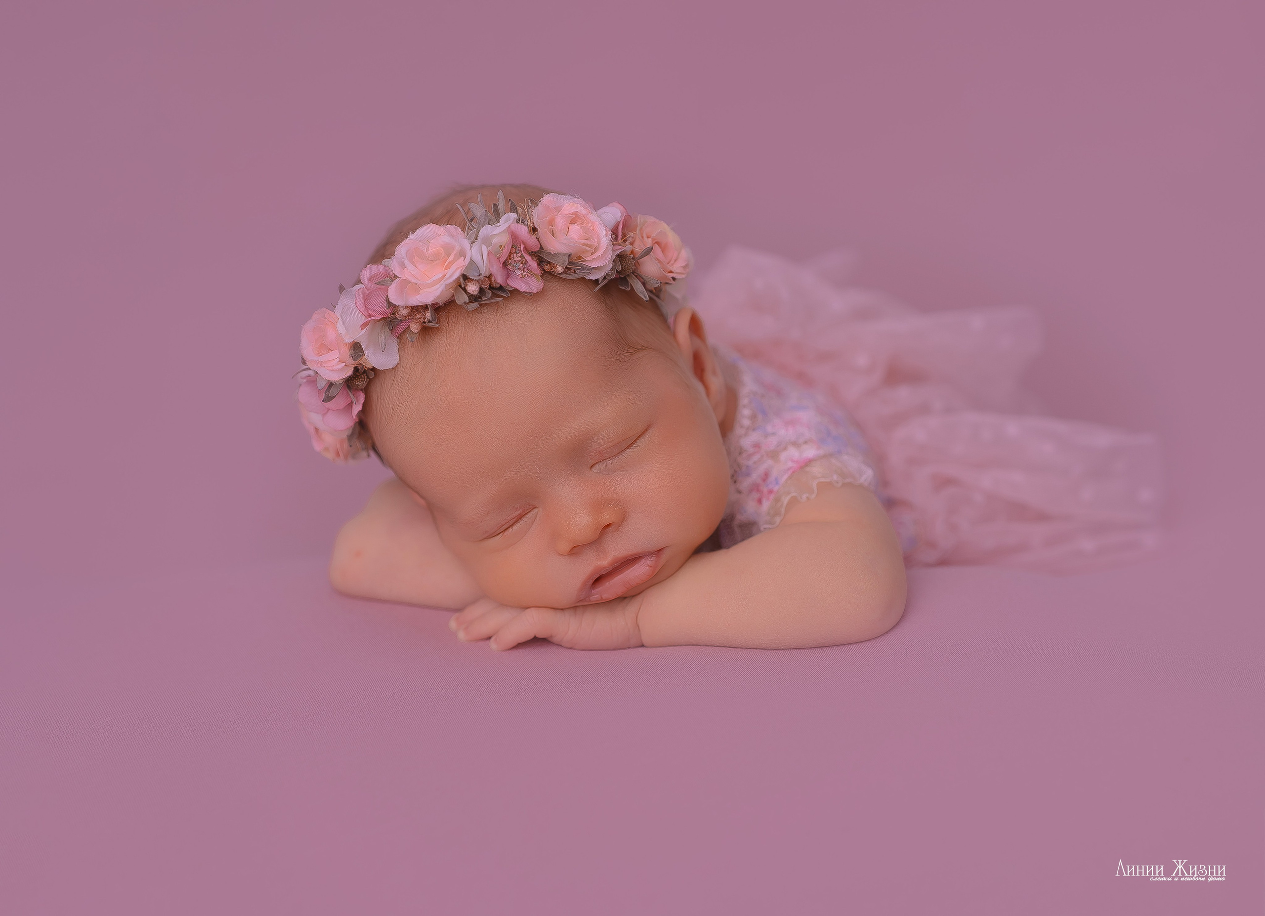 Серафима 19 дней. Фотограф новорожденных в Нижнем Новгороде Сергеева Оксана