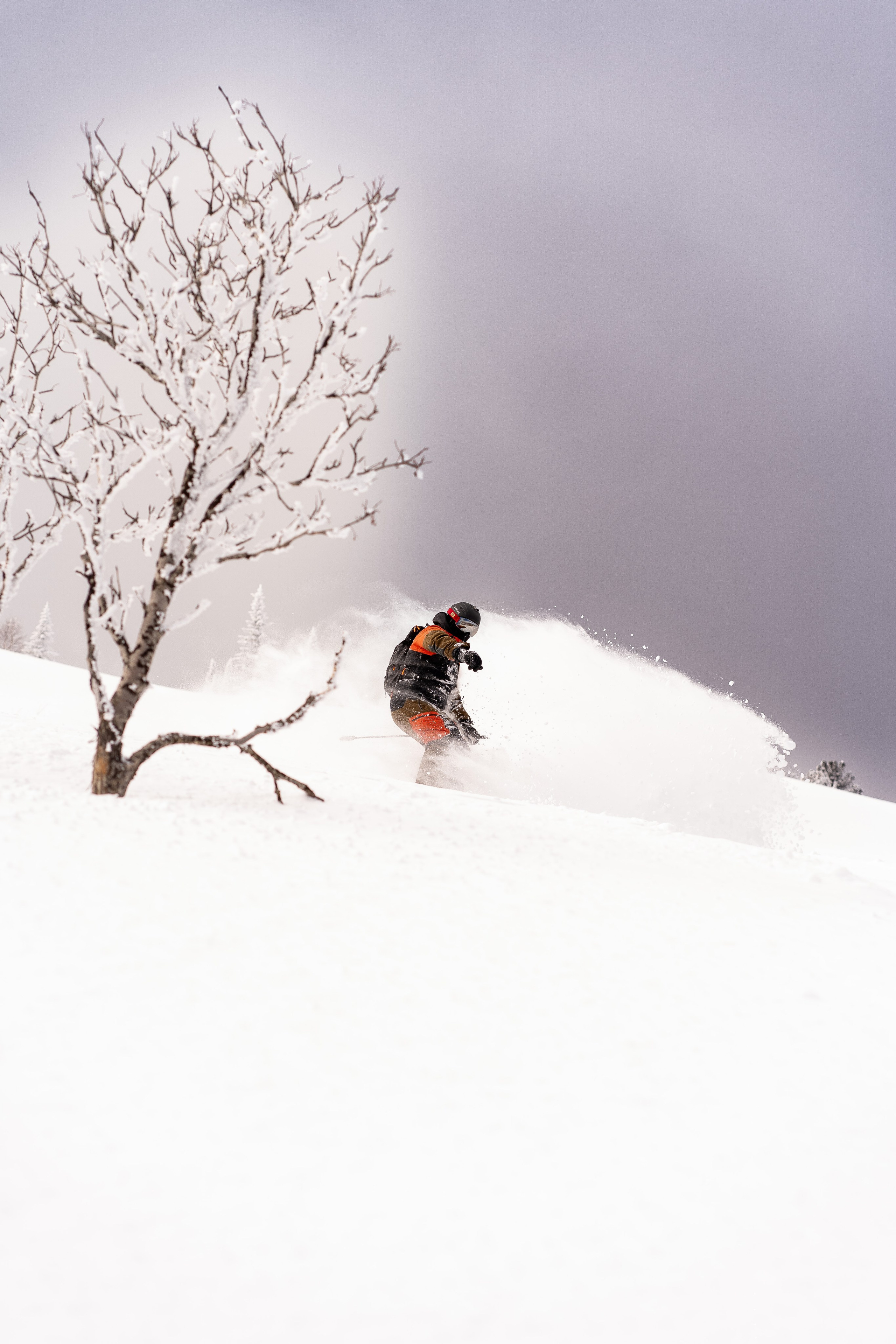 Фрирайд. Анастасия Паршукова — фотограф Шерегеш Новосибирск