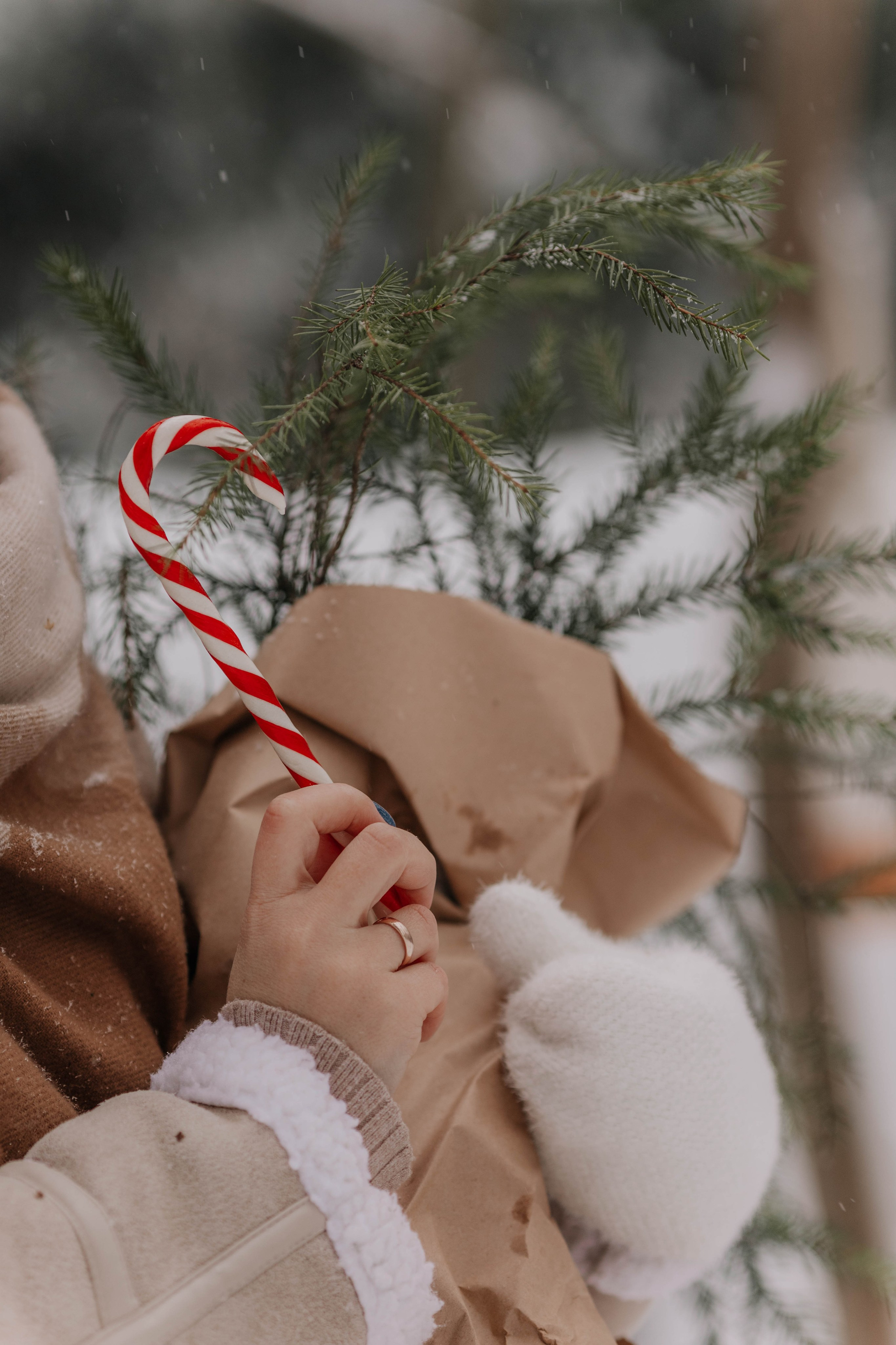 Лиля и семья Зимняя прогулка в лесу. Семейный и свадебный фотограф Видное Москва Екатерина Пятова