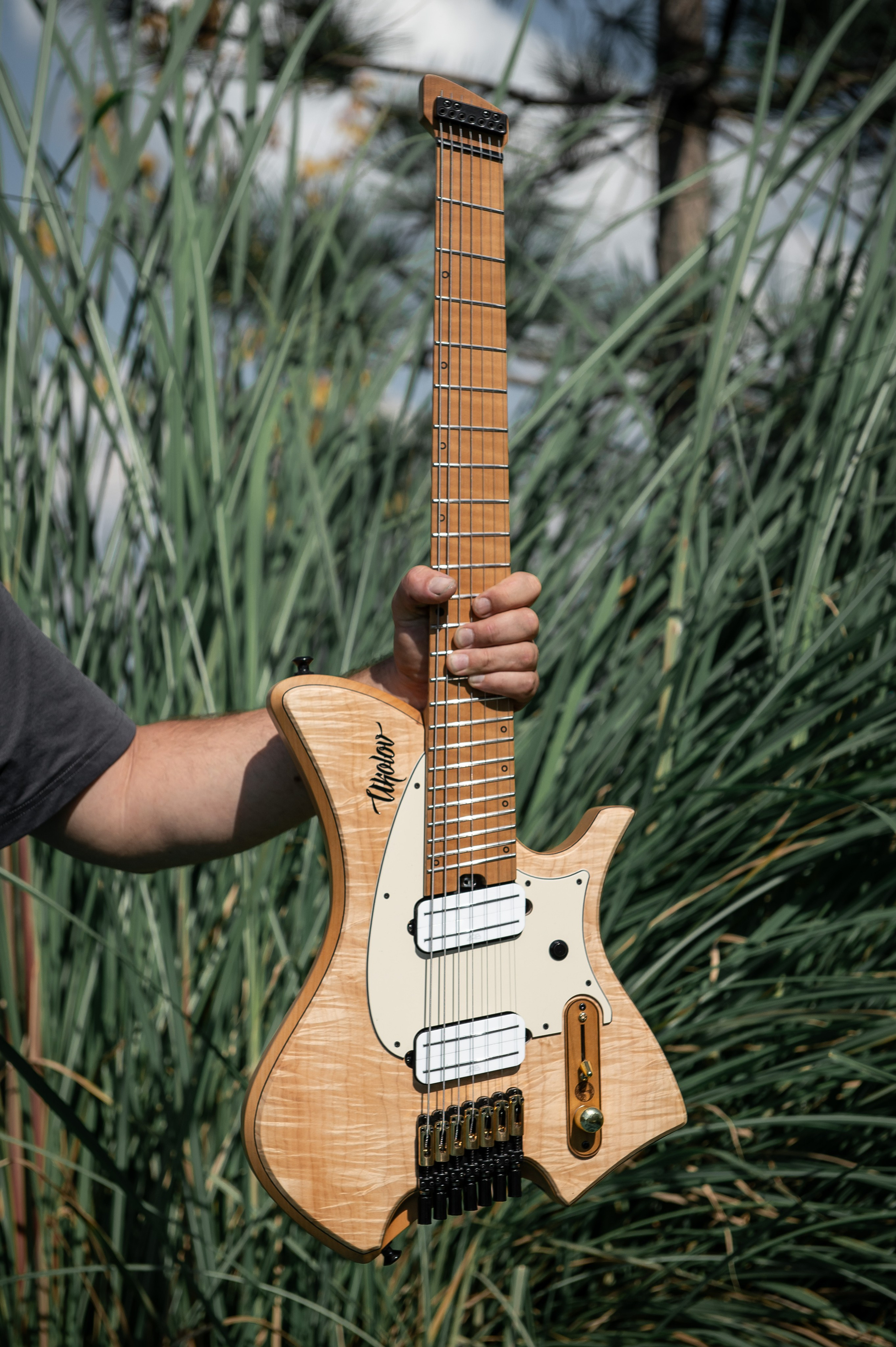 Ukolov Guitars. Главная