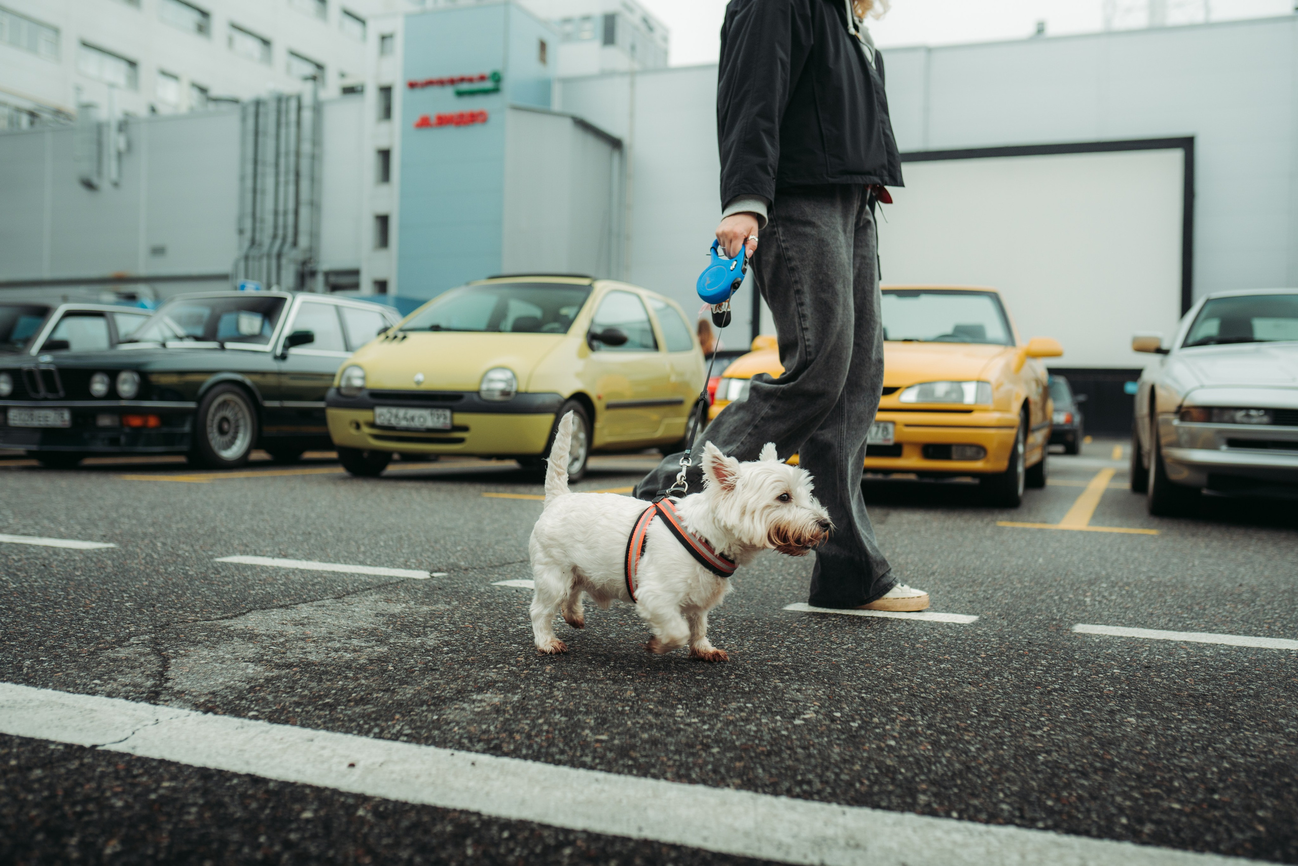 Cars and Coffee 30/08/25. Автомобильный фотограф Антон Цырулев