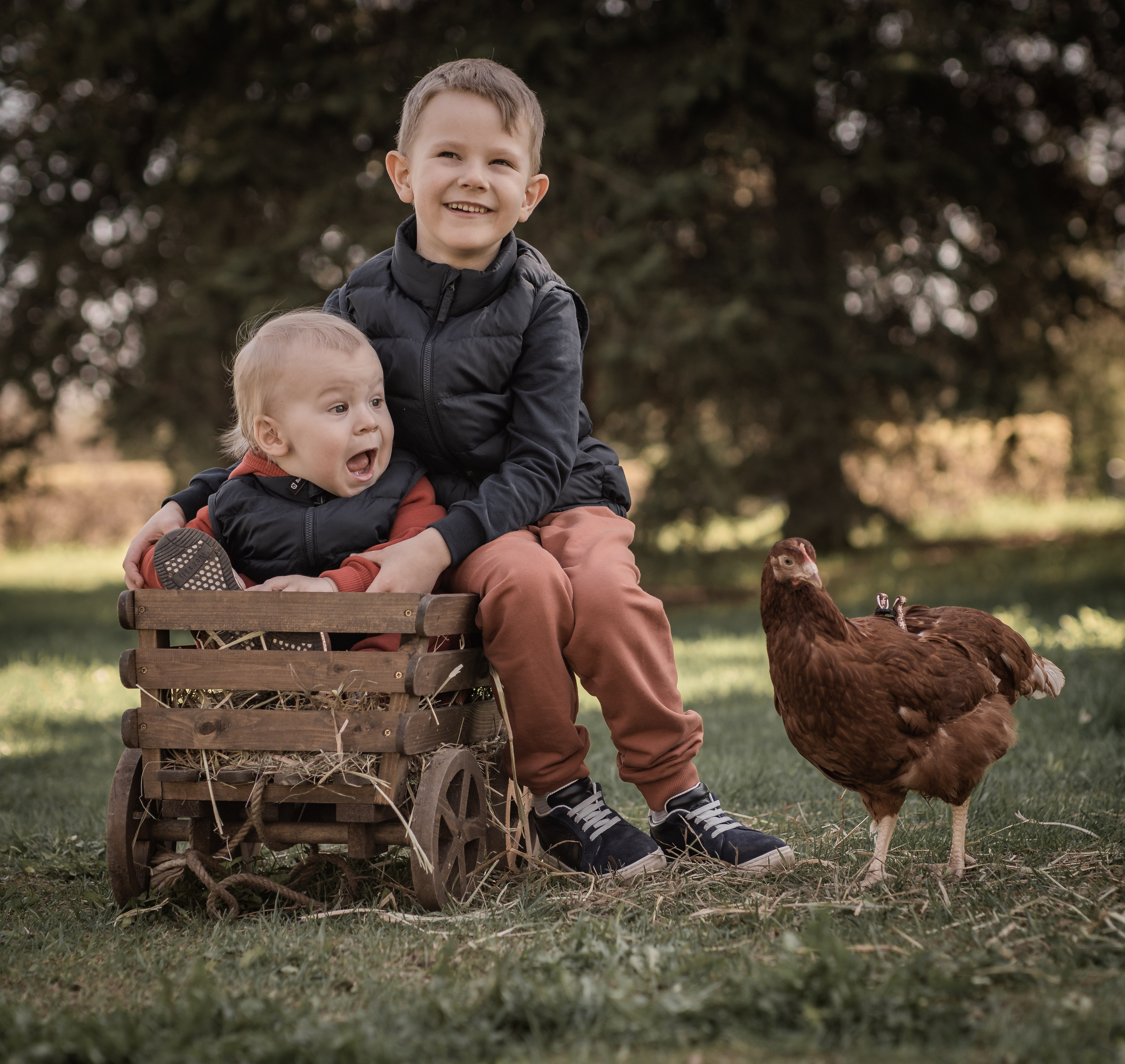 Куриные истории. Семейный фотограф Ефремова Виктория