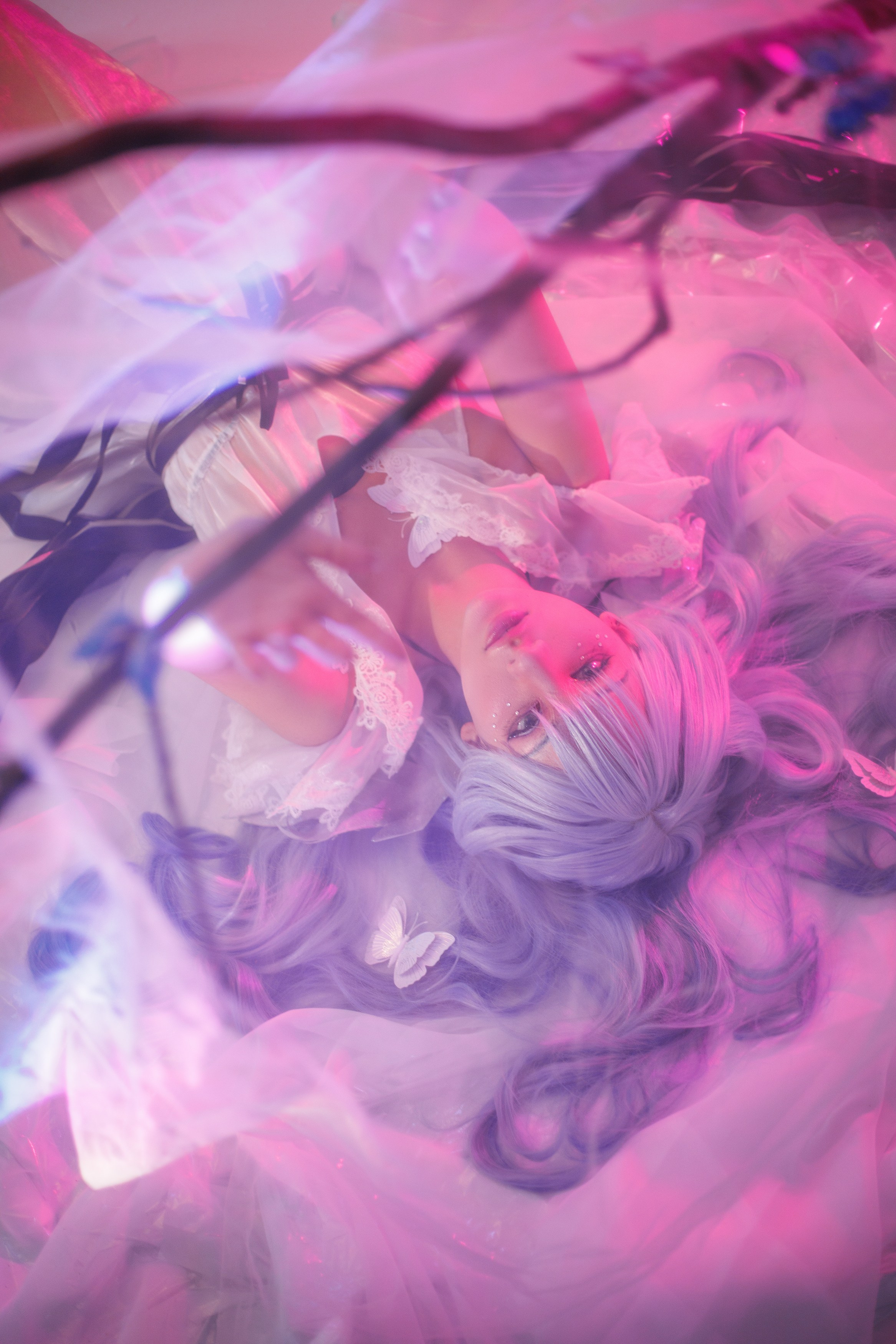 HSR: Robin. Polaroud love