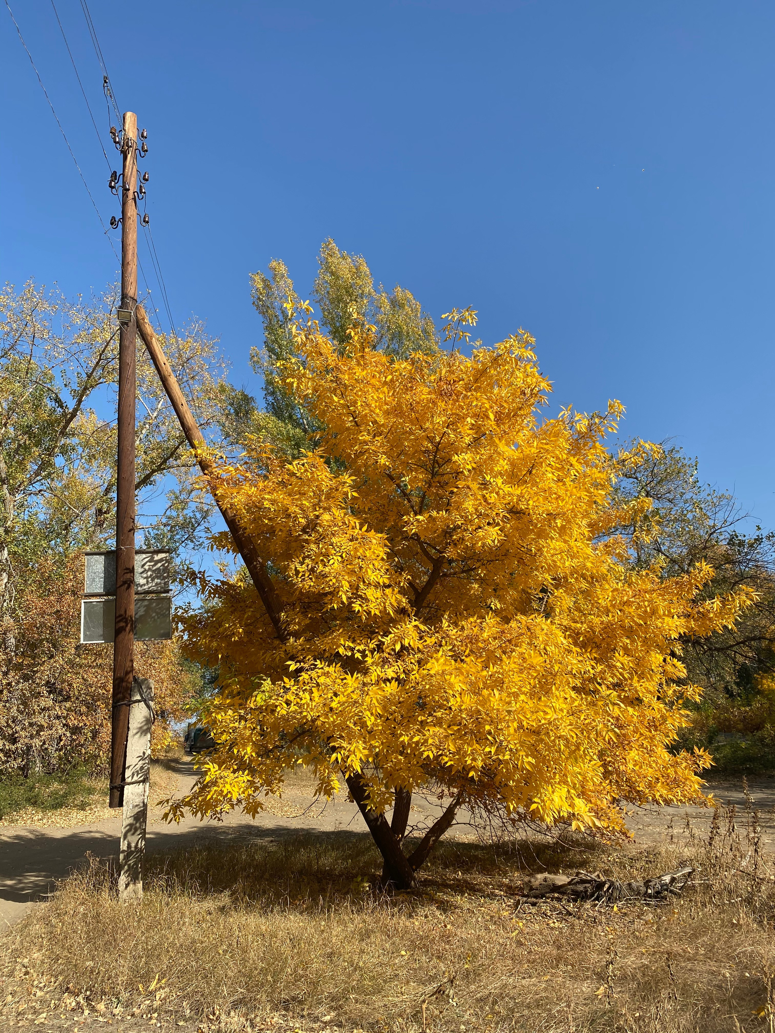 Астрахань — 20. Своя Мастерская