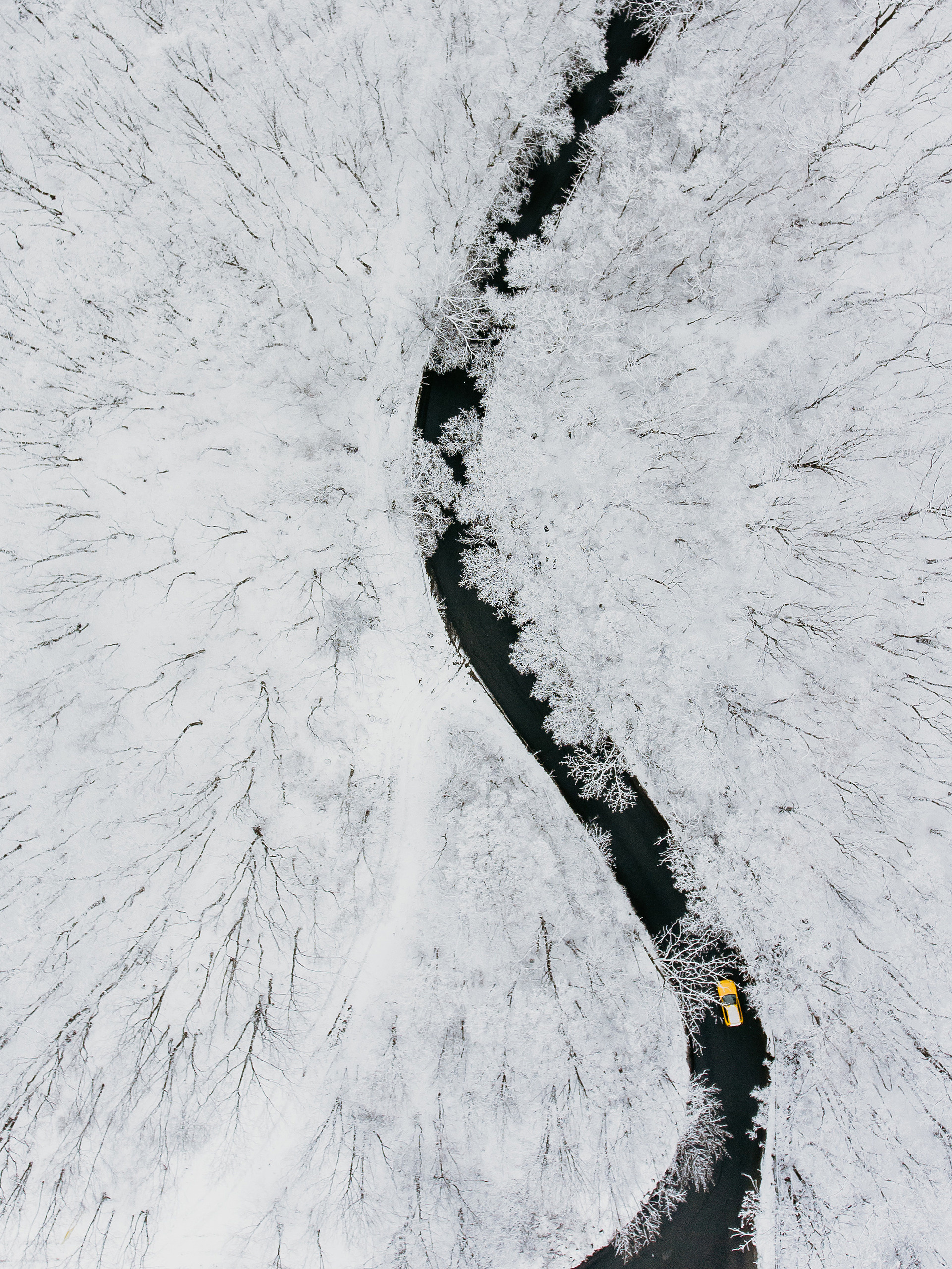 Зима в Приморье и Владивостоке. Фотограф во Владивостоке Антон Блохин