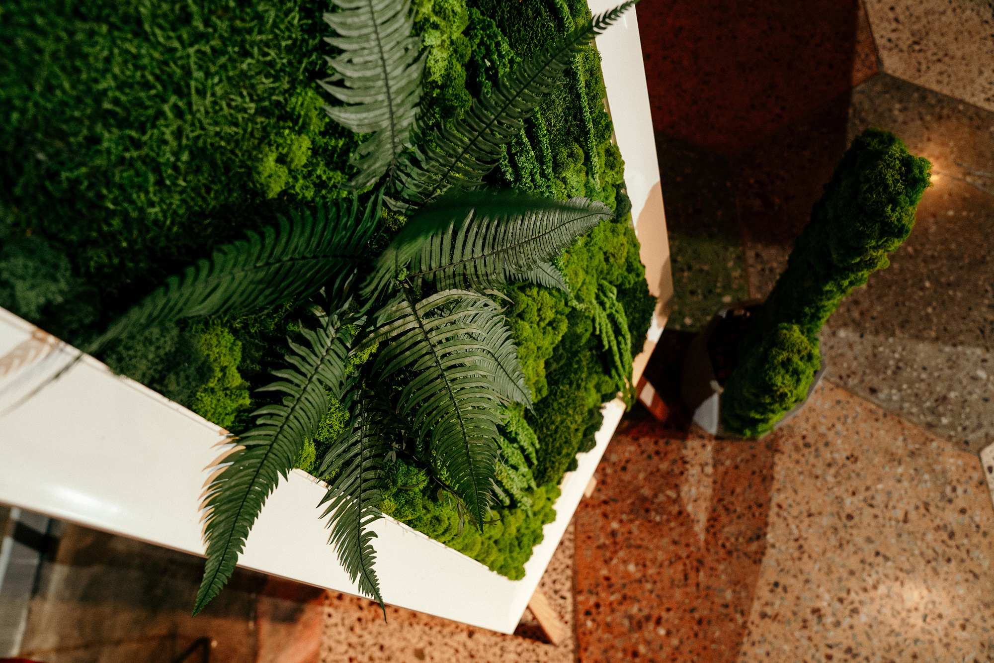 Встреча дизайнеров Владивостока. Фотограф во Владивостоке Антон Блохин