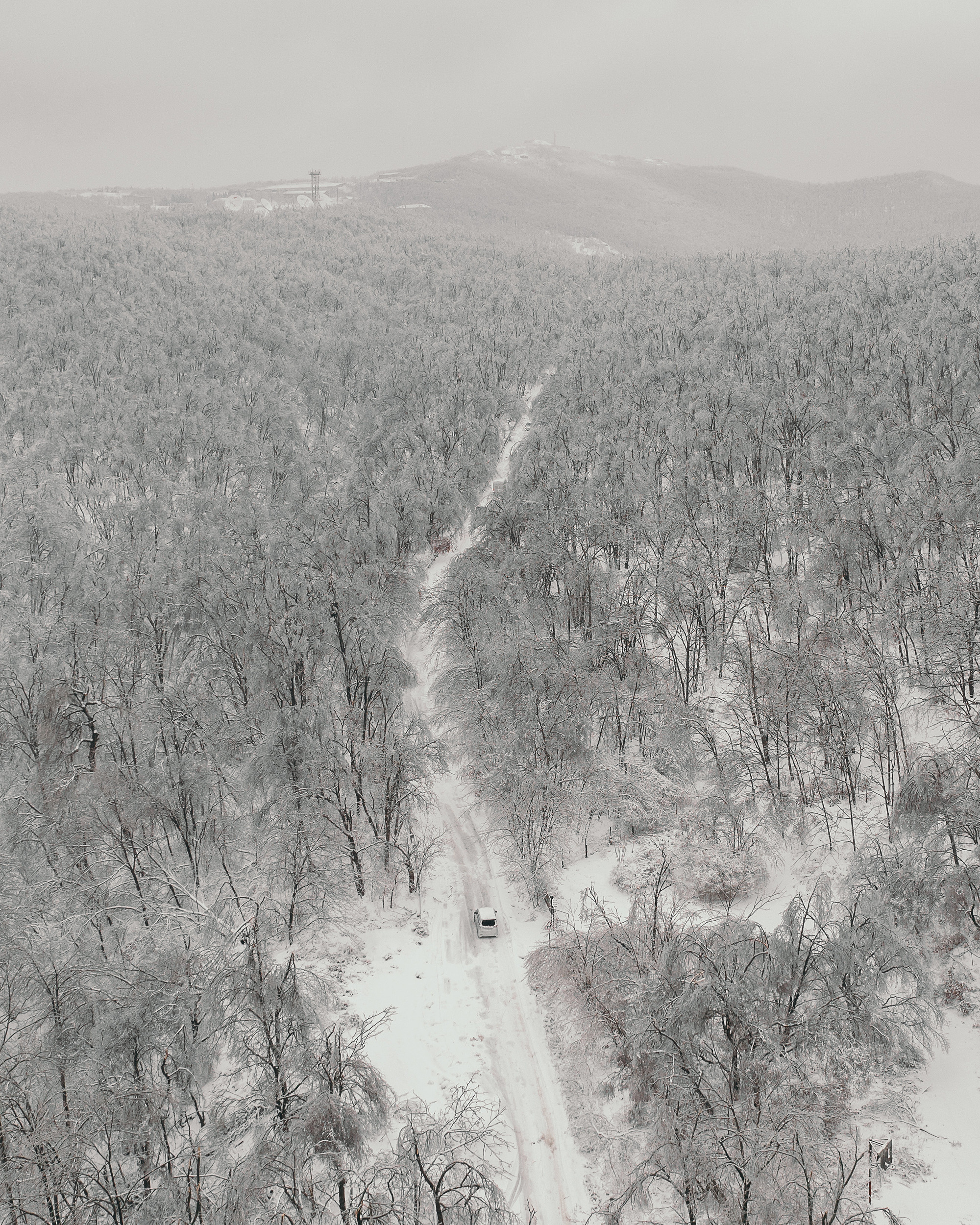 Зима в Приморье и Владивостоке. Фотограф во Владивостоке Антон Блохин