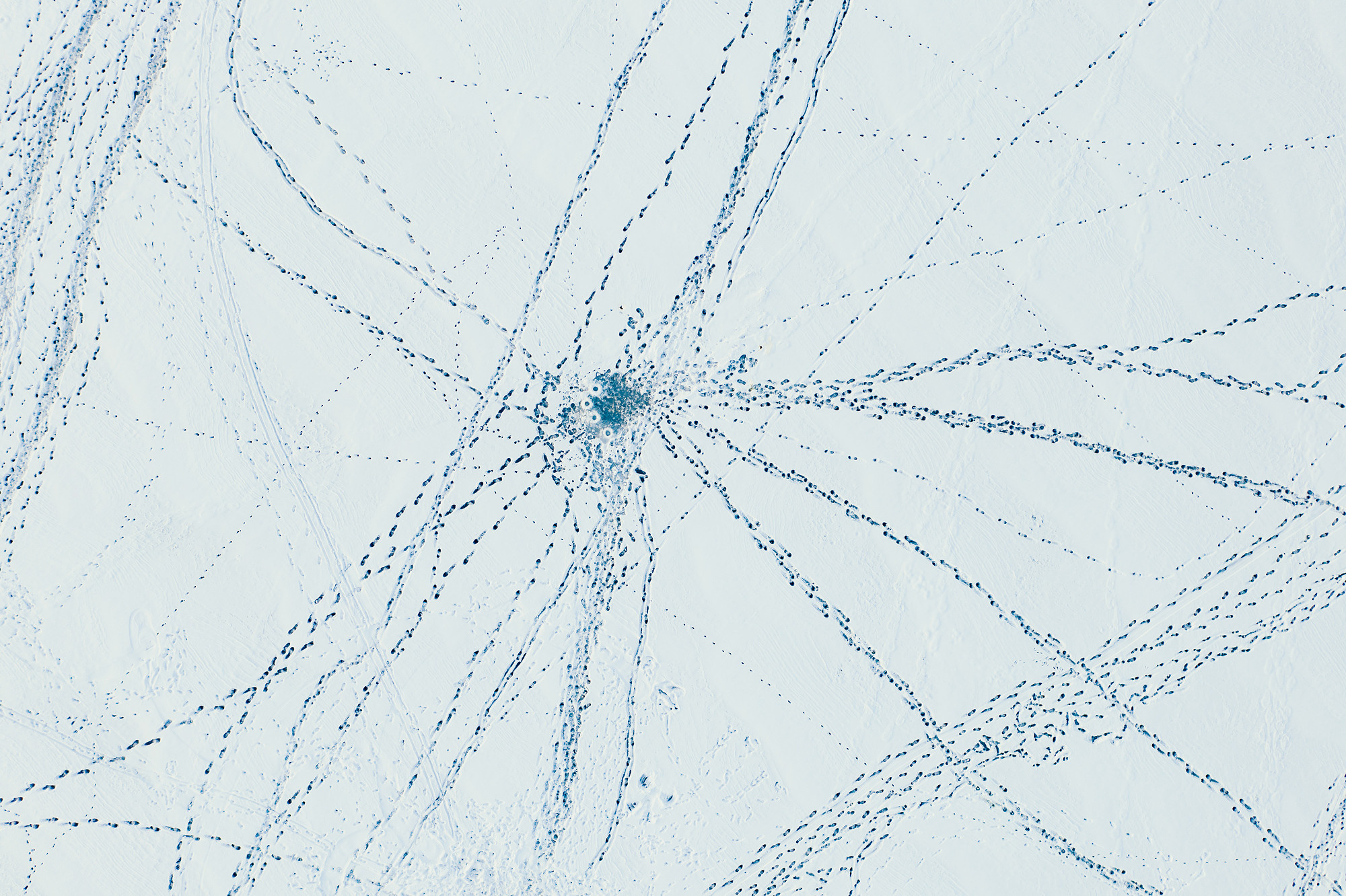 Зима в Приморье и Владивостоке. Фотограф во Владивостоке Антон Блохин