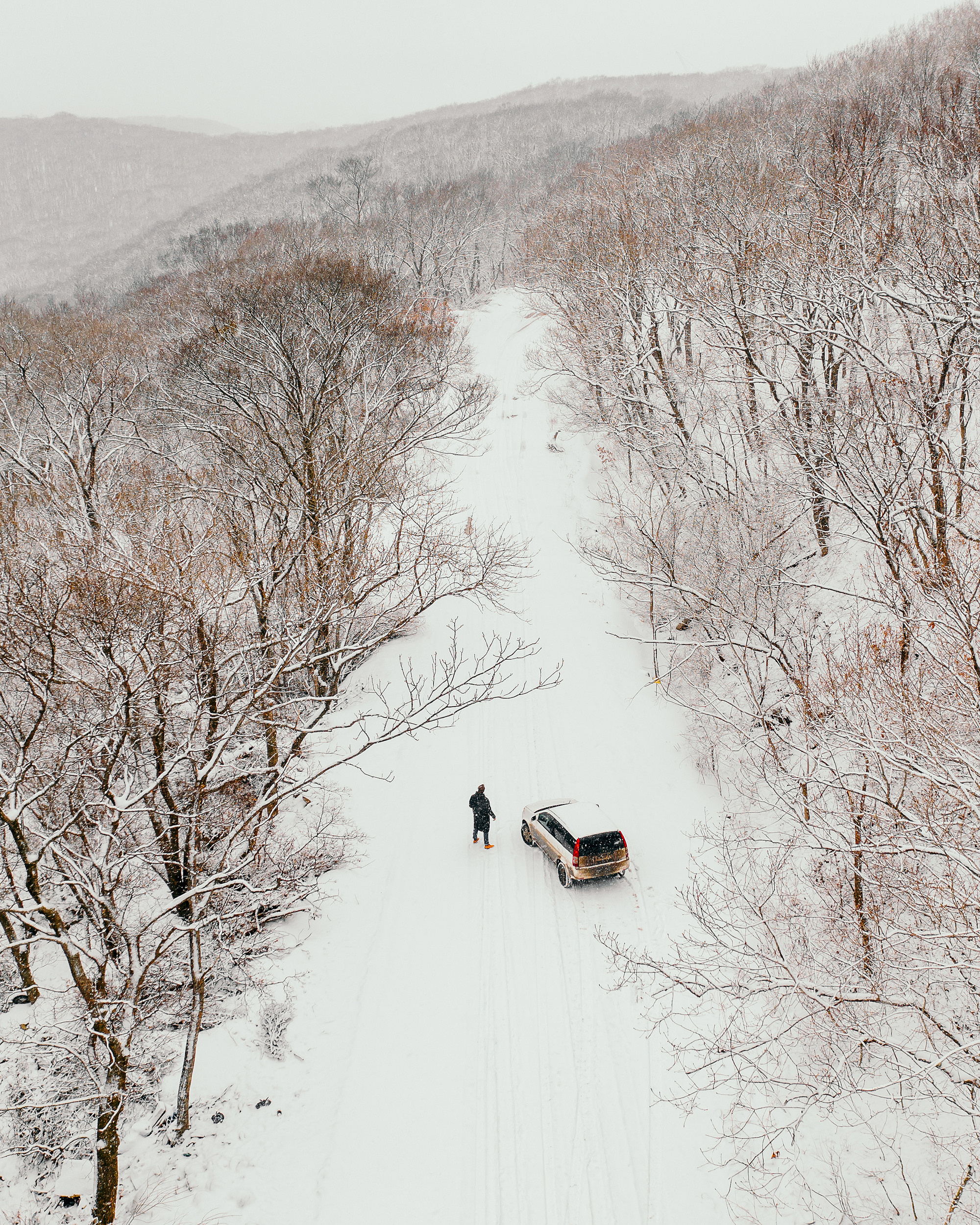 Зима в Приморье и Владивостоке. Фотограф во Владивостоке Антон Блохин