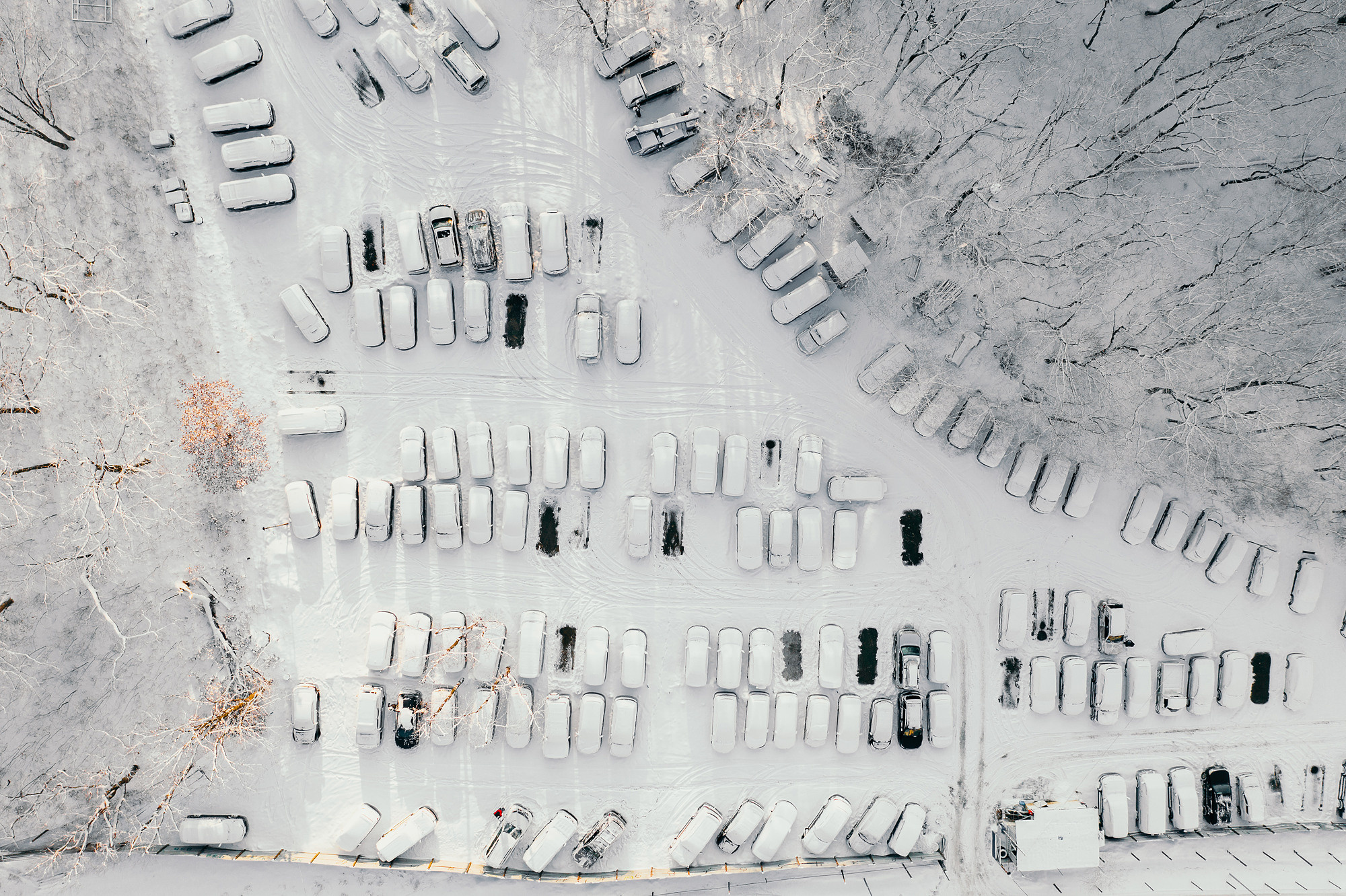 Зима в Приморье и Владивостоке. Фотограф во Владивостоке Антон Блохин