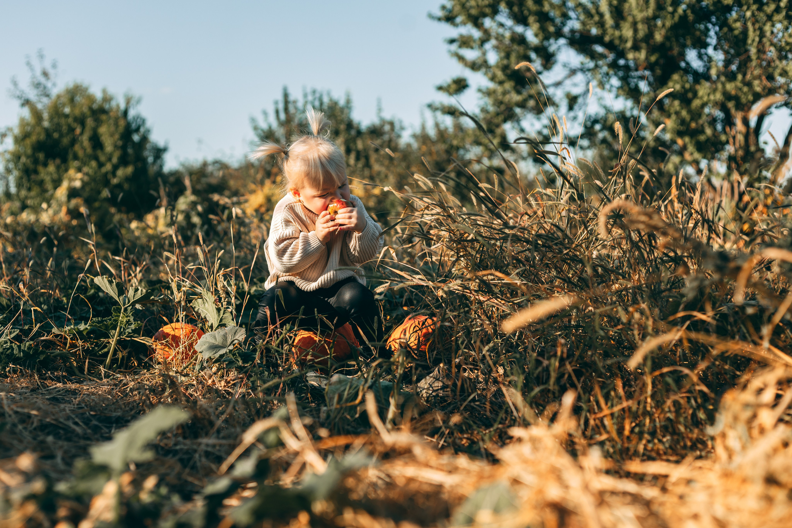 Детская фотосессия в тыквах. Свадебный и семейный фотограф в Краснодарском крае Мария Данилкина