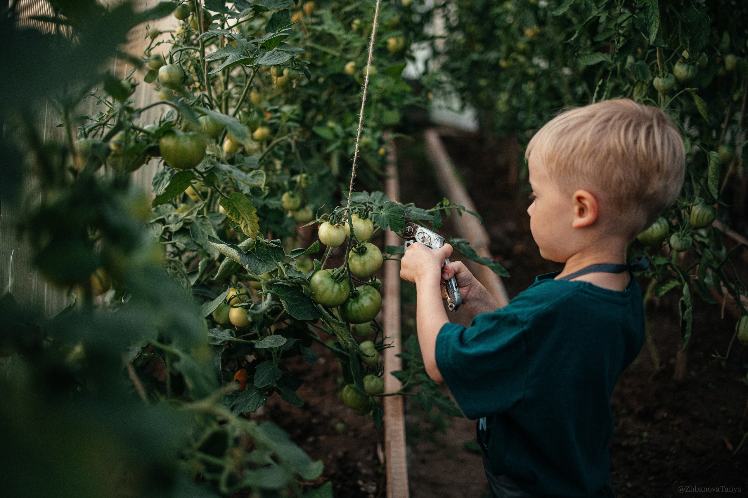 Семья/ беременность/ дети. Фотограф Татьяна Жбанова