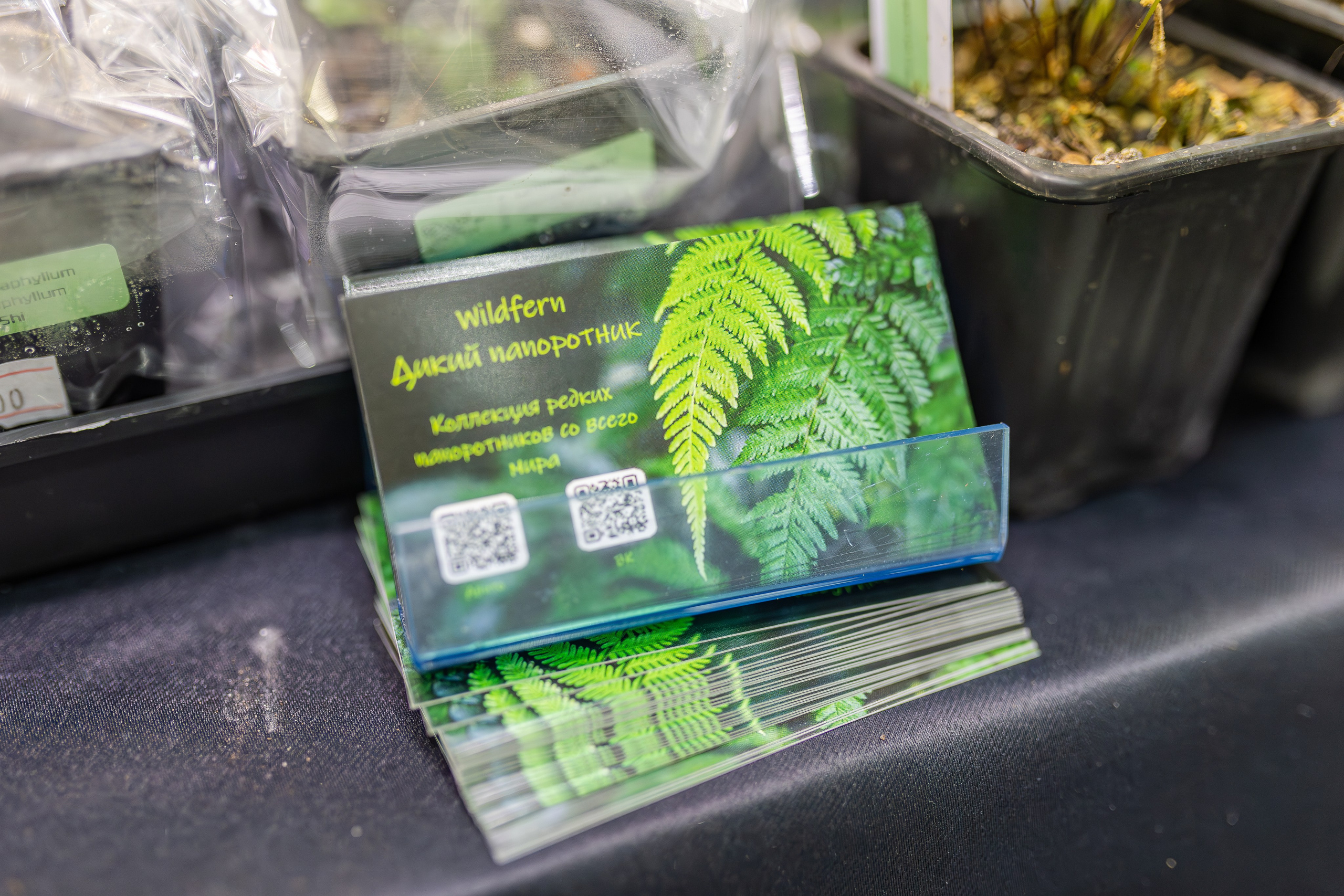 Монстериум апрель 2026. Александра Куликова фотограф, Москва