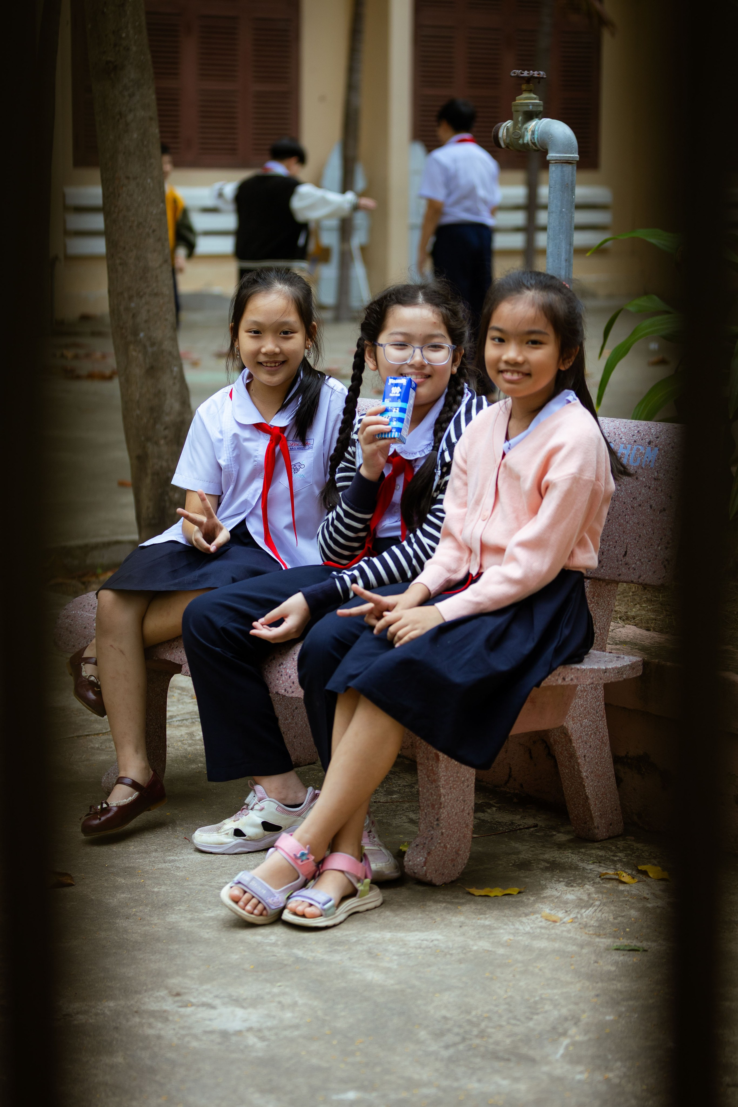 Вьетнам (зима 2025-2026). Фотограф Виноградов Константин