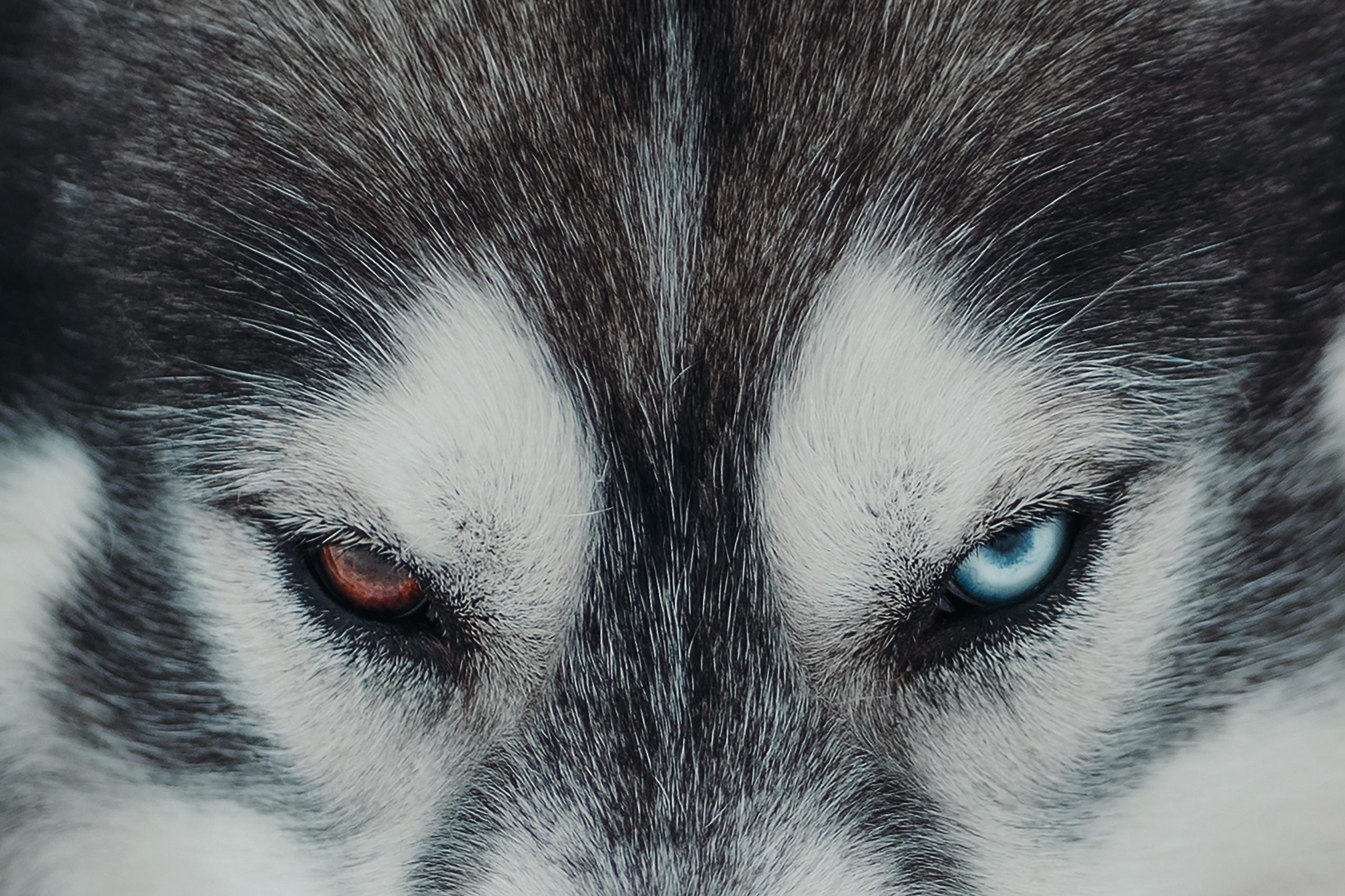 Художественные. Главная