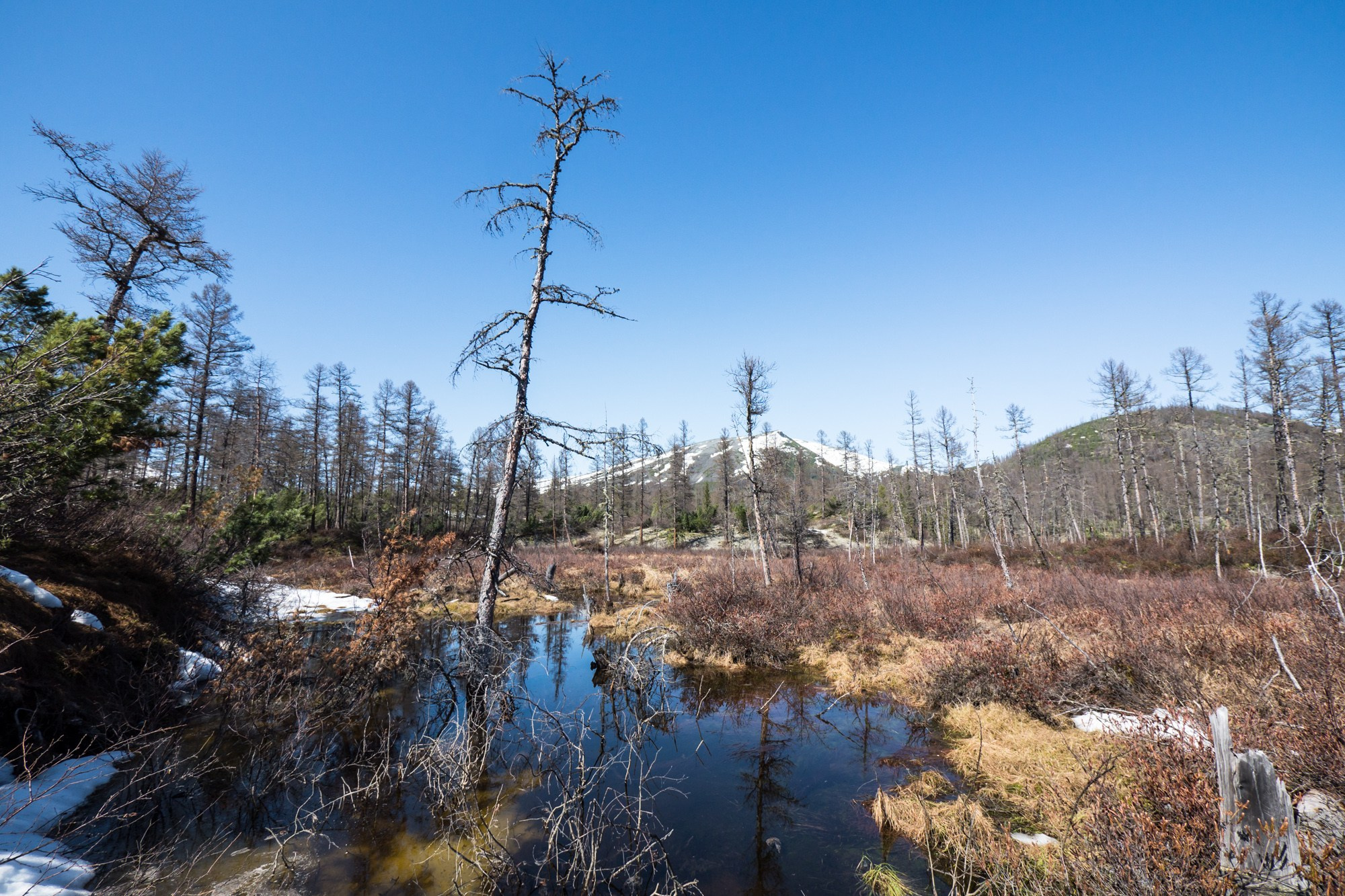 Якутия. Фотограф Алексей Скоробогатько
