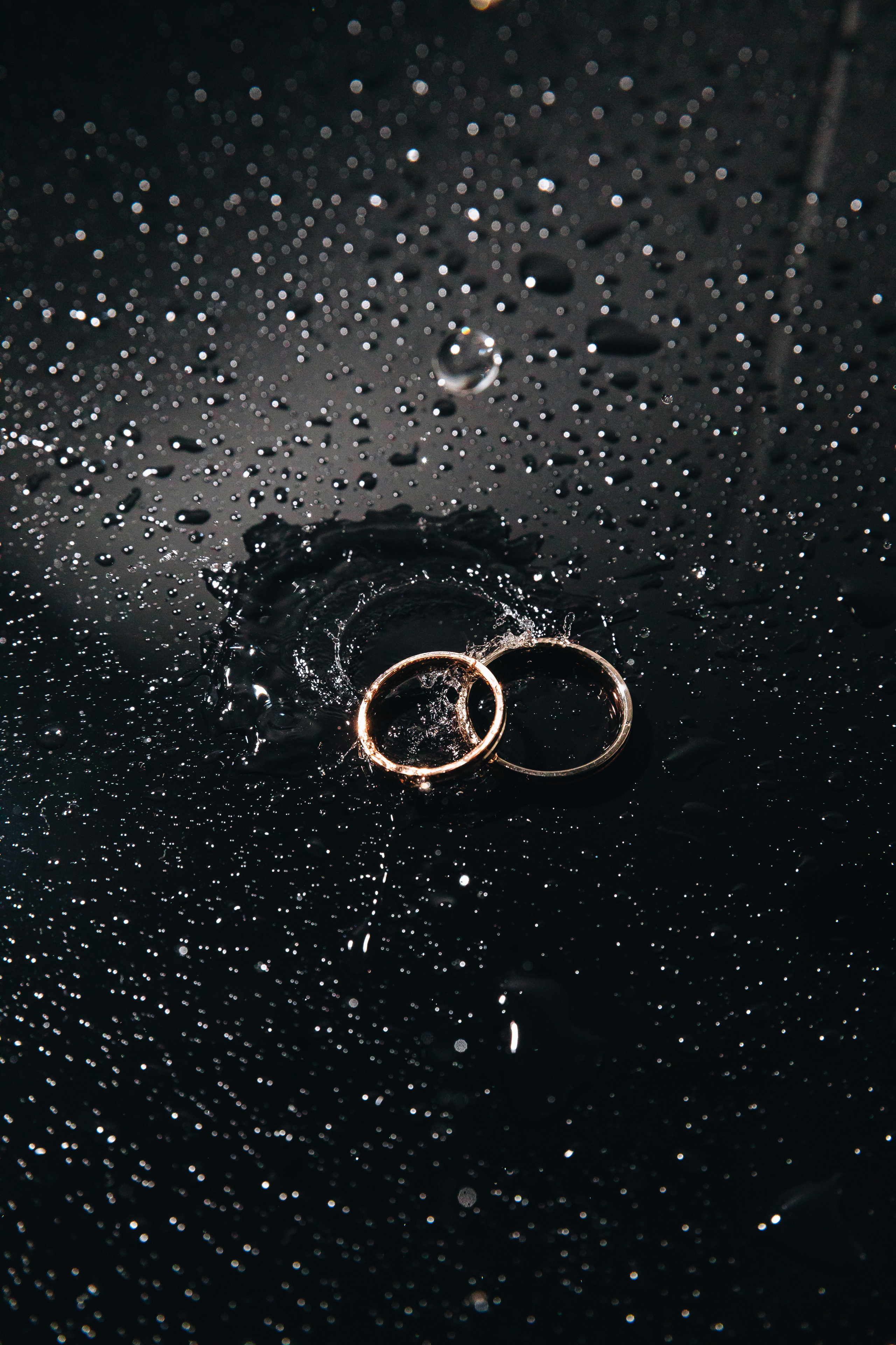 Александр и Ксения. Свадебный фотограф и видеограф — Сергей и Дарья