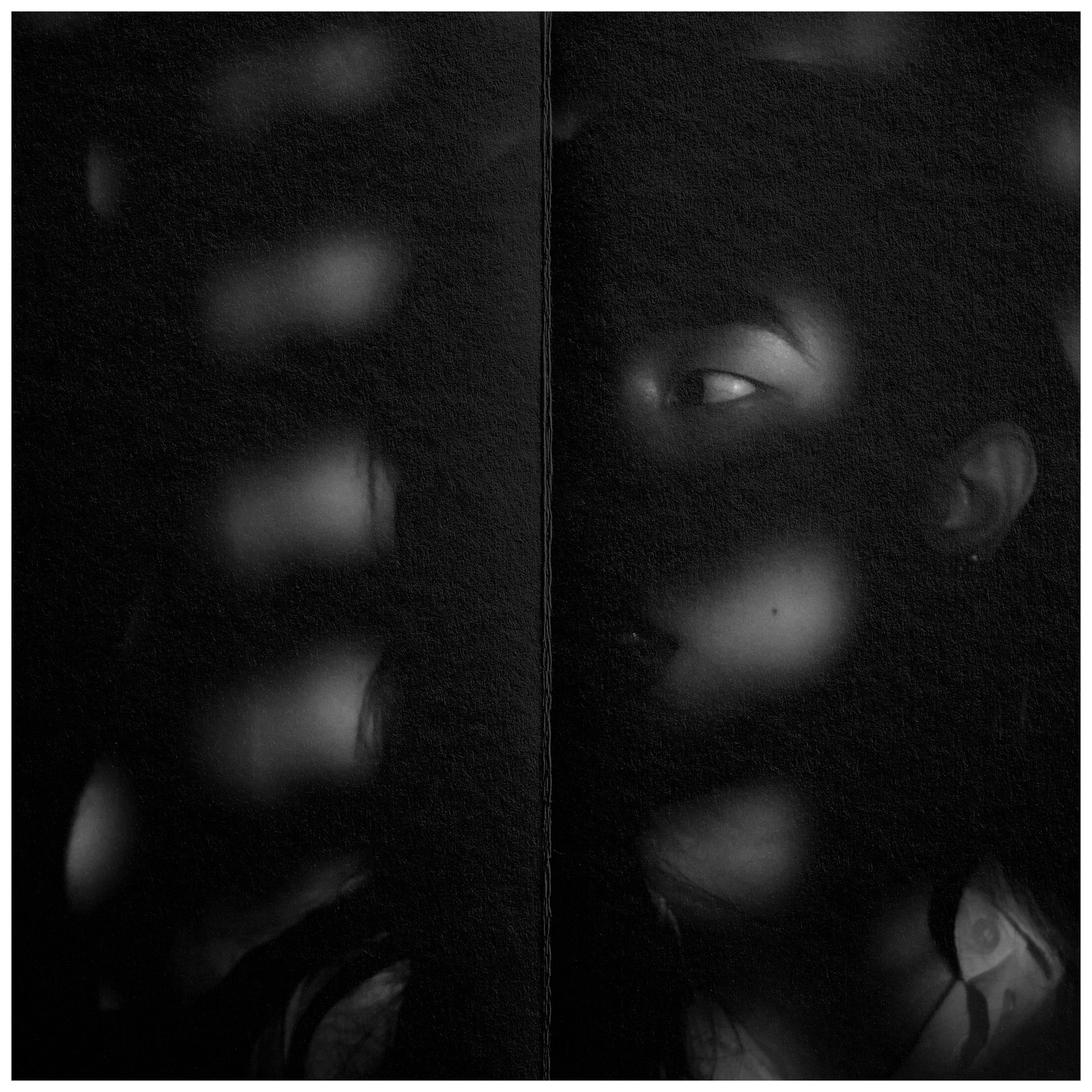 Влюбленные в жизнь