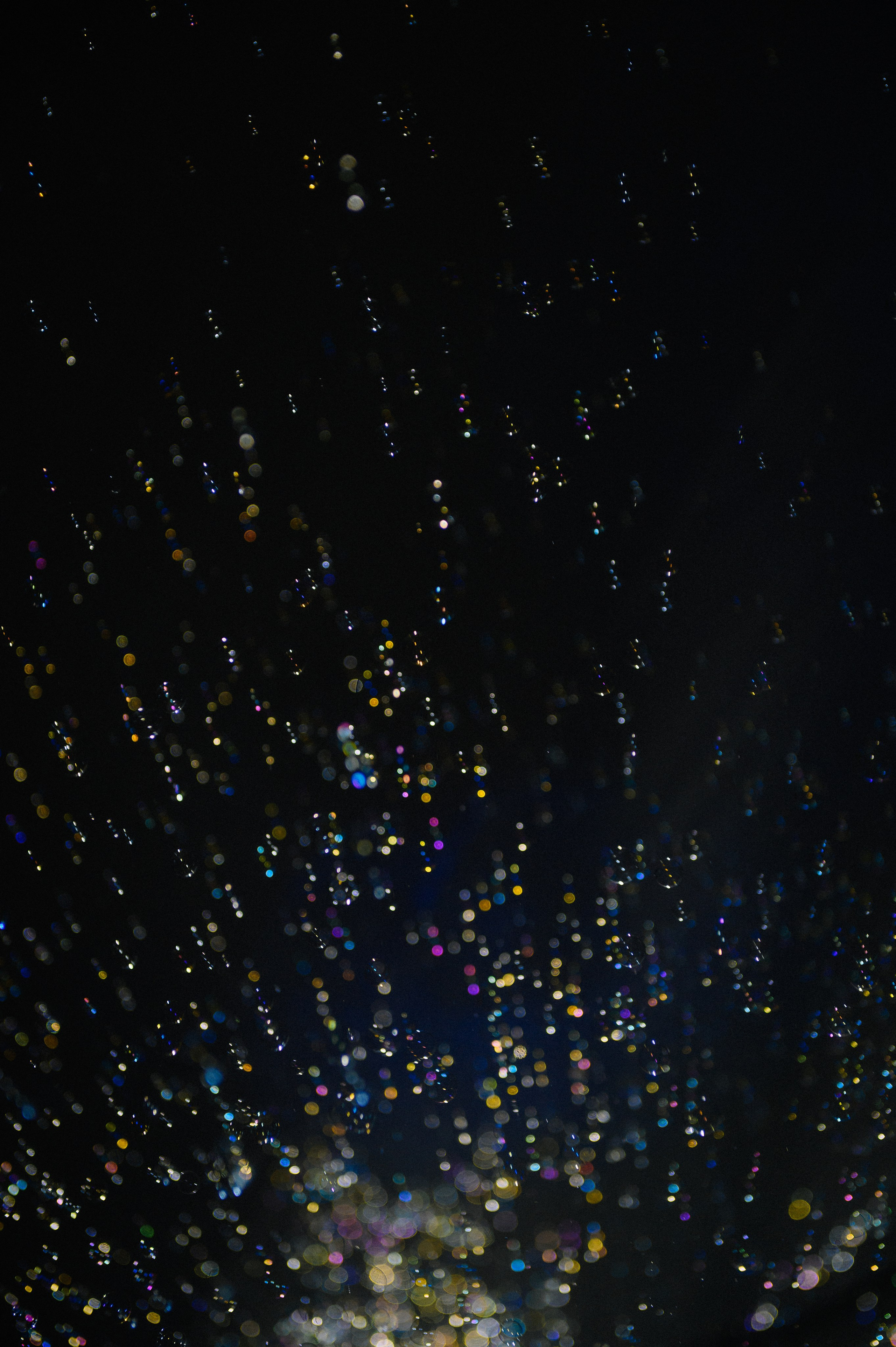 Максим и Мария. Свадебный фотограф