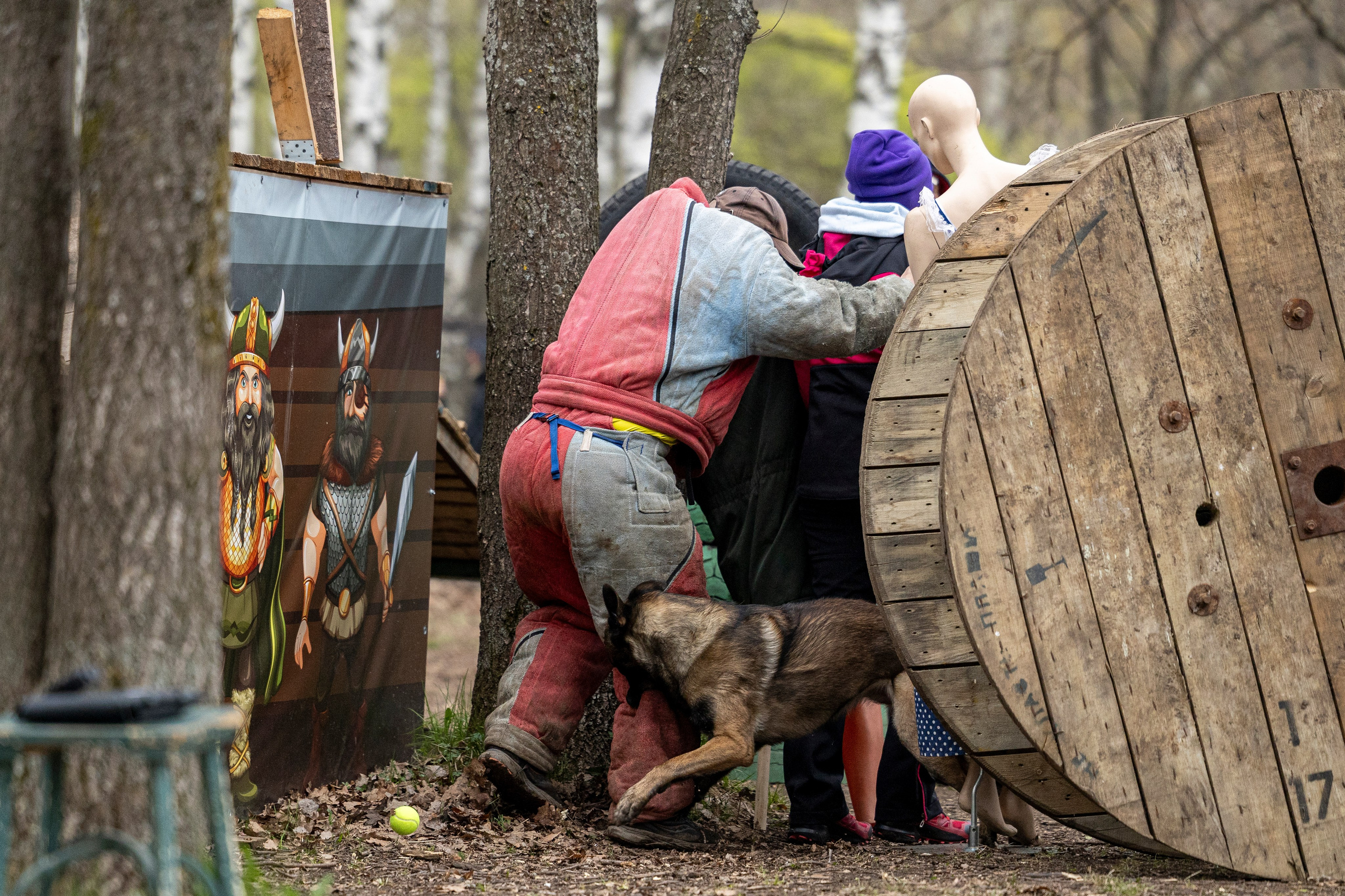 Квалификационные состязания по мондьорингу г. Вологда 11.05.24. Фотограф-анималист Анна Маринич