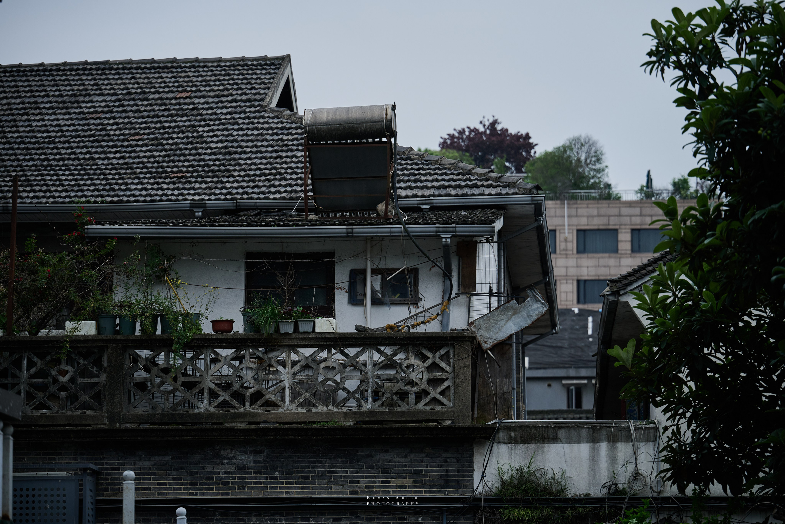 Ханчжоу. Дыхание города. Photographer Roman Adler