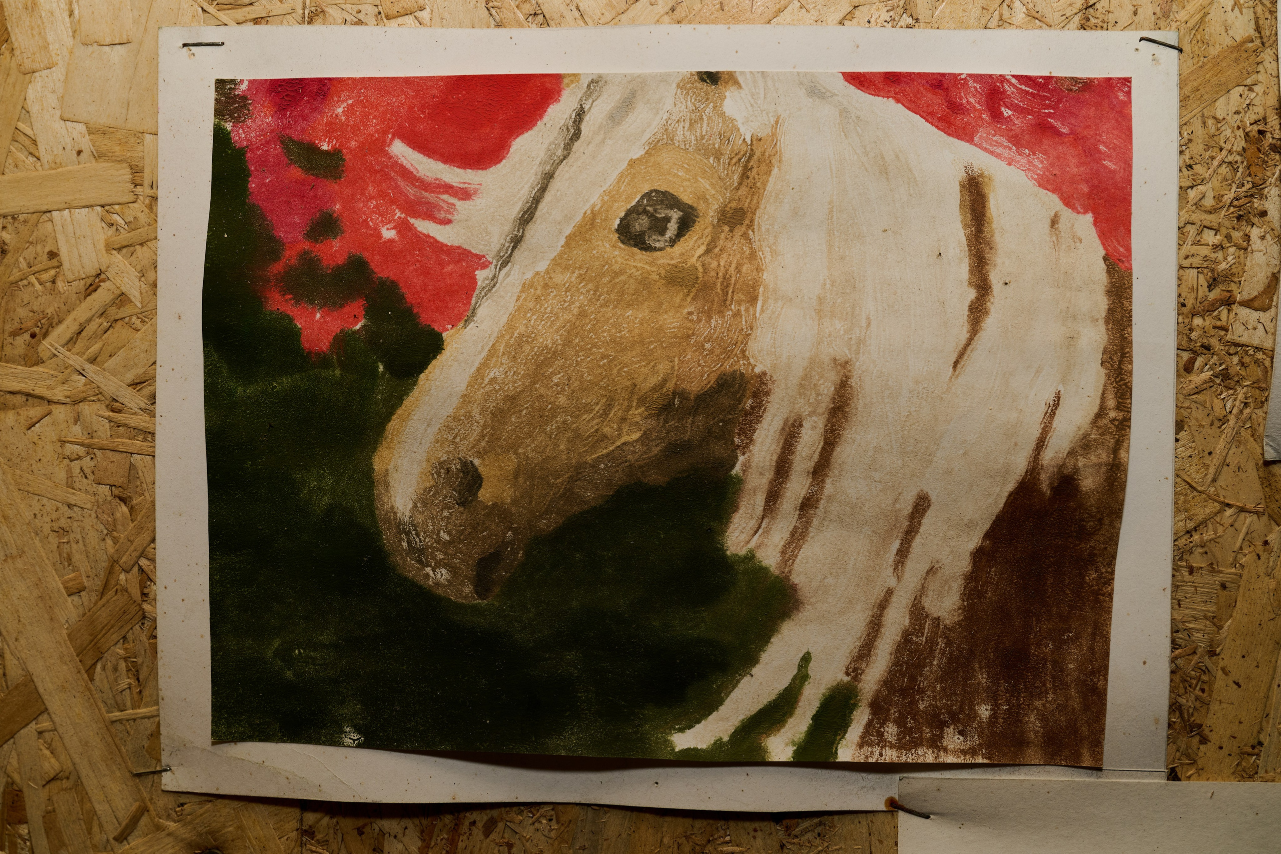 Съемки для фотопроекта Территории. Фотограф Роман Адлер