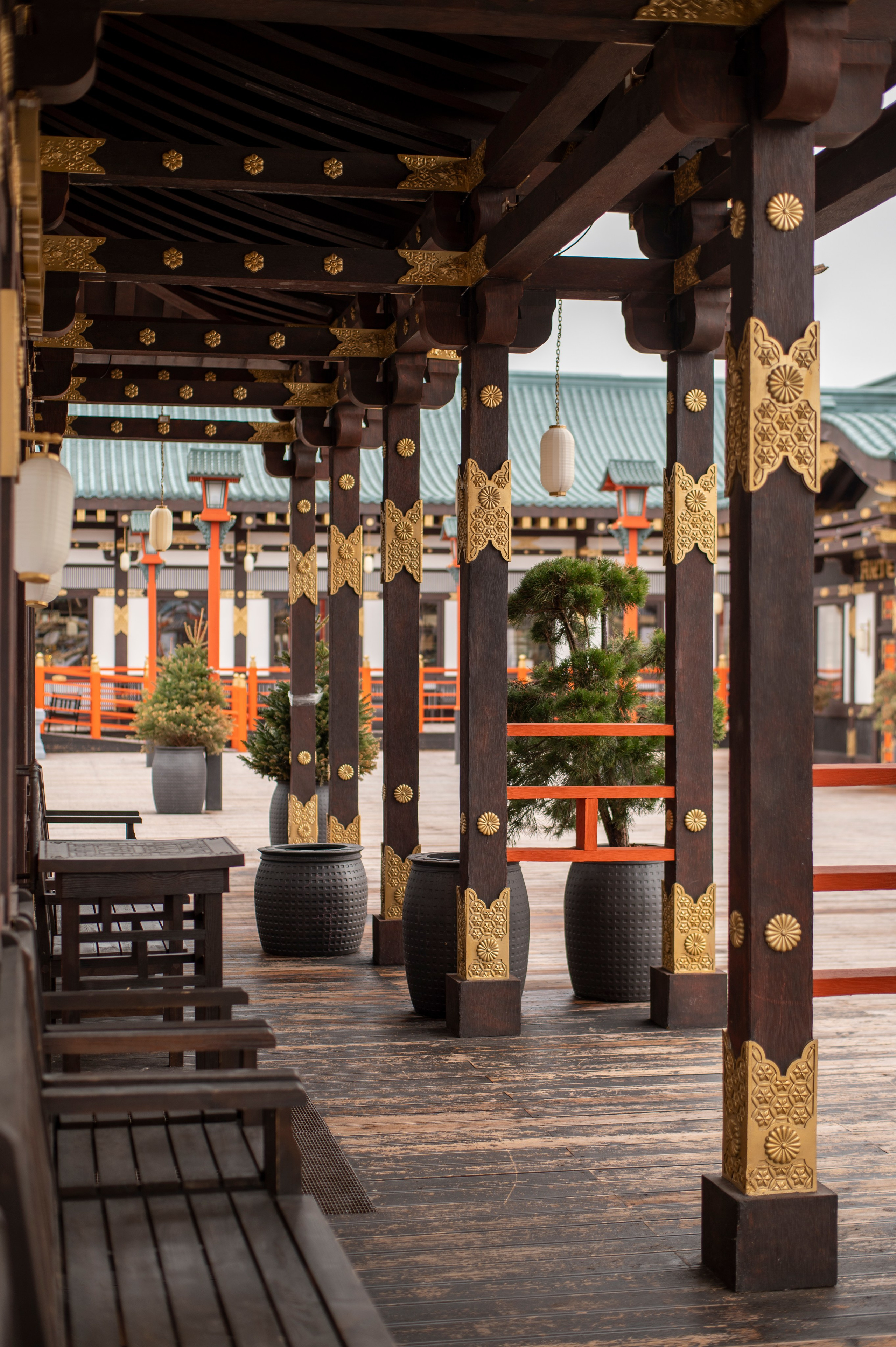 Фотопрогулка апрель 2022. Фотограф Роман Адлер