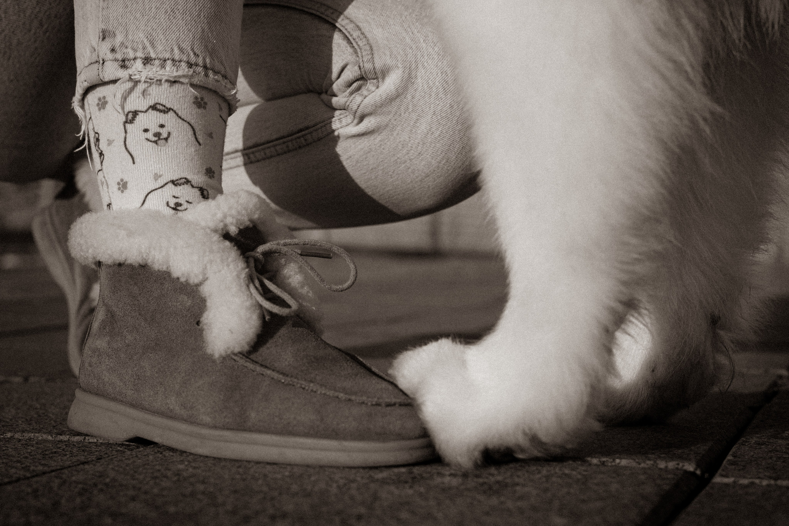 Полина и Вирчик. Фотограф — анималист Владивосток, Алина