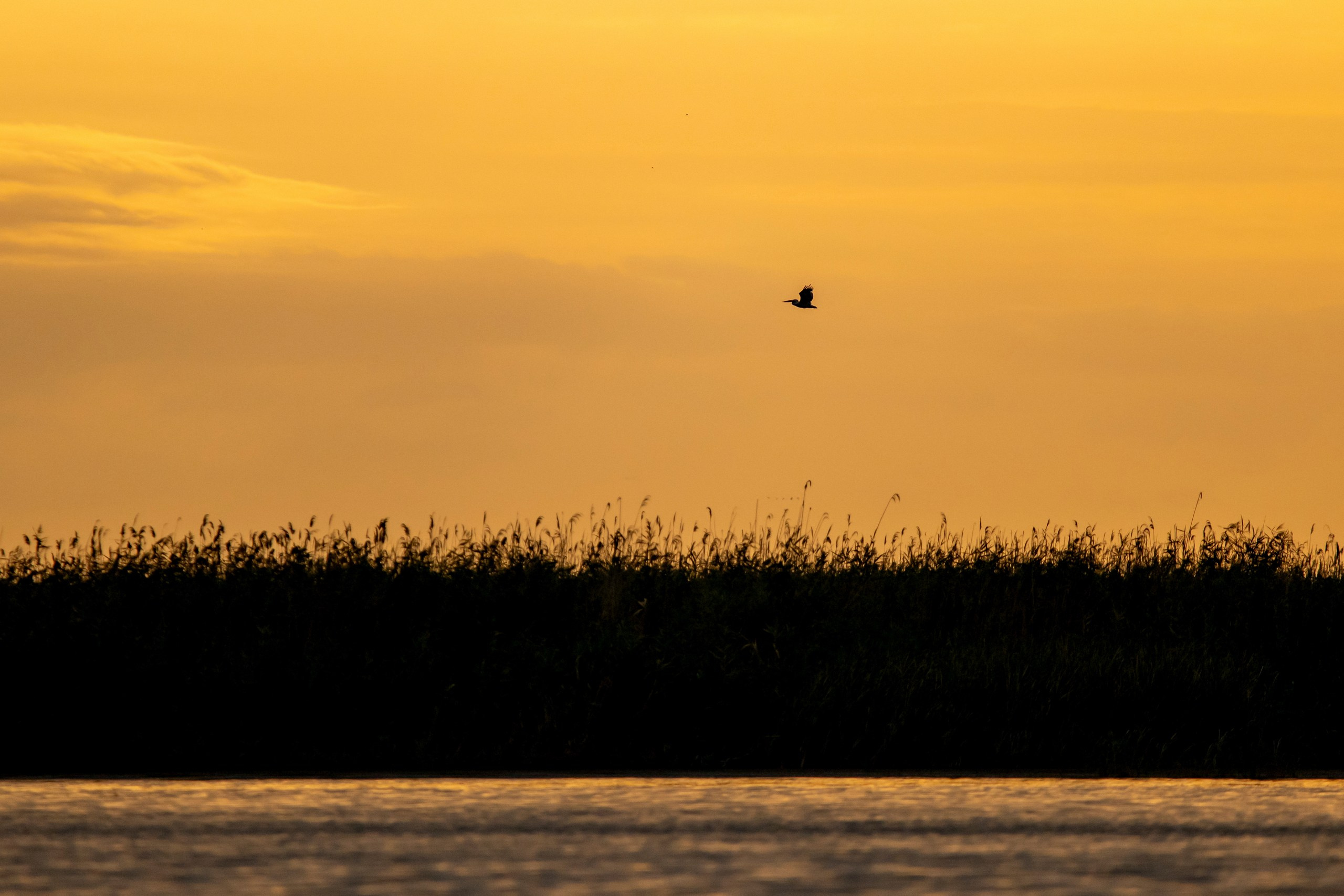 Природа Дагестана, сентябрь 2024. Foto-Zuev фотография как искусство