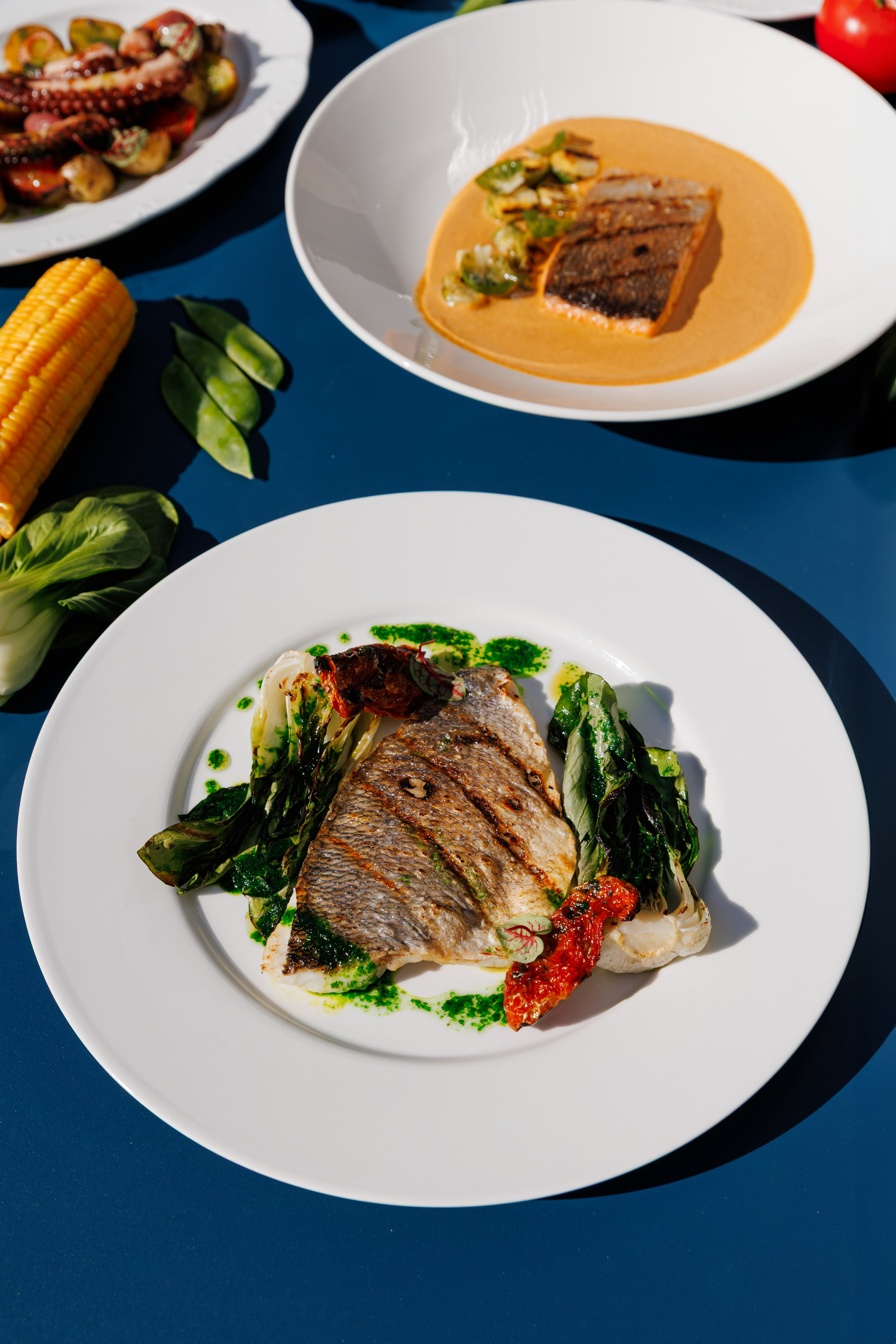 Muze Garden. Night2Day Санкт-Петербург