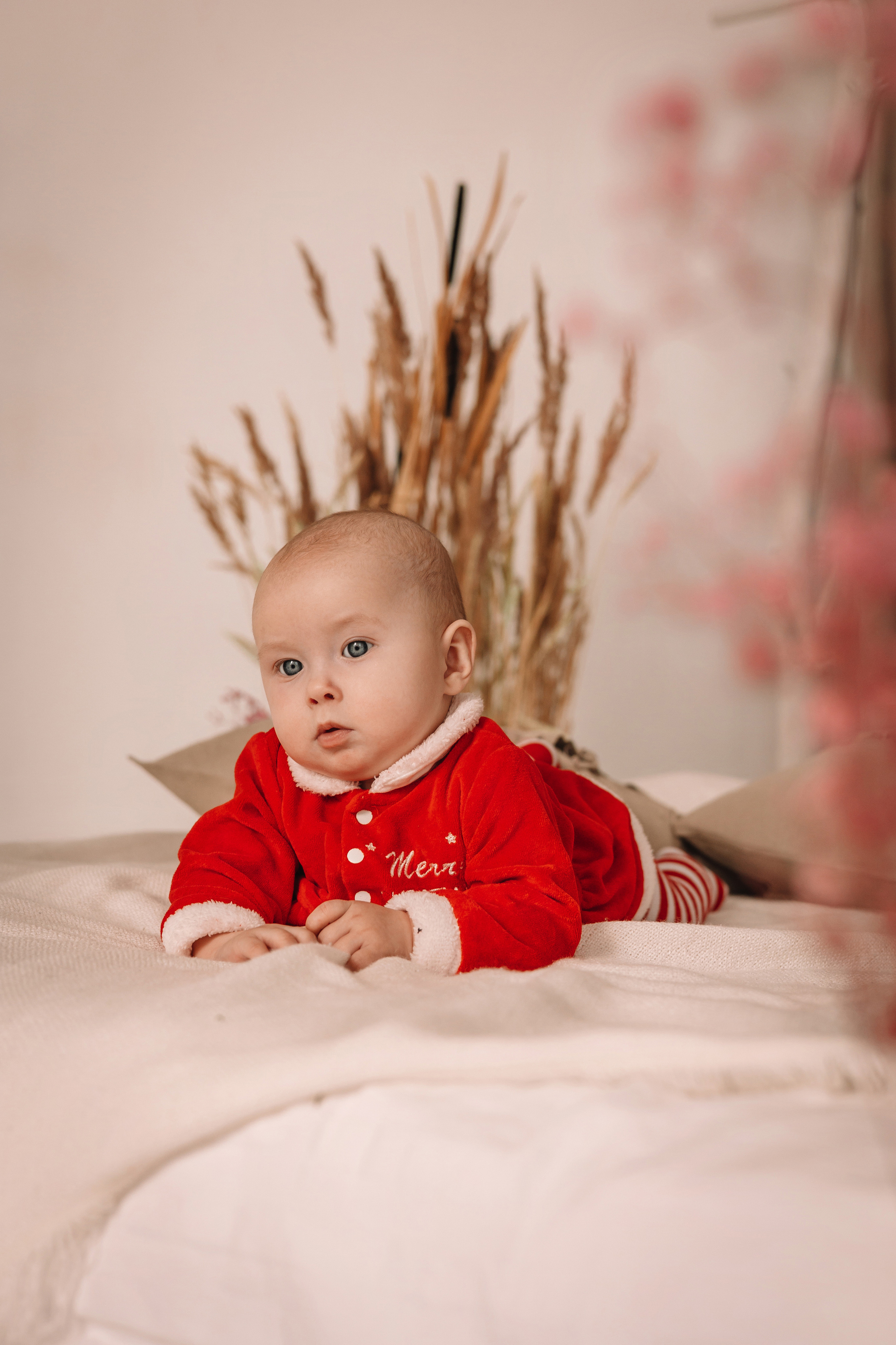 Семейная. Свадебный фотограф Красноярск — Кристина Ива