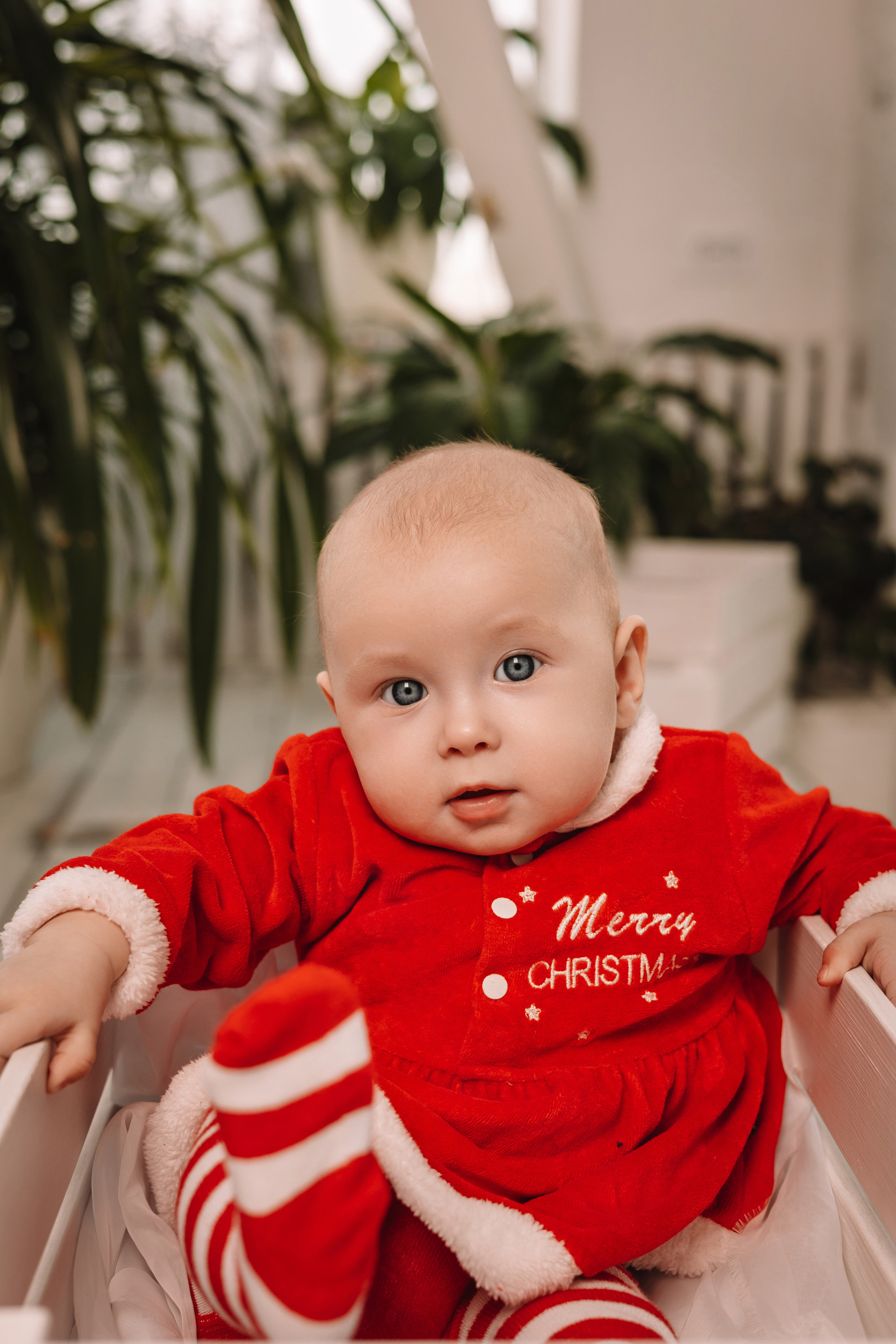 Семейная. Свадебный фотограф Красноярск — Кристина Ива