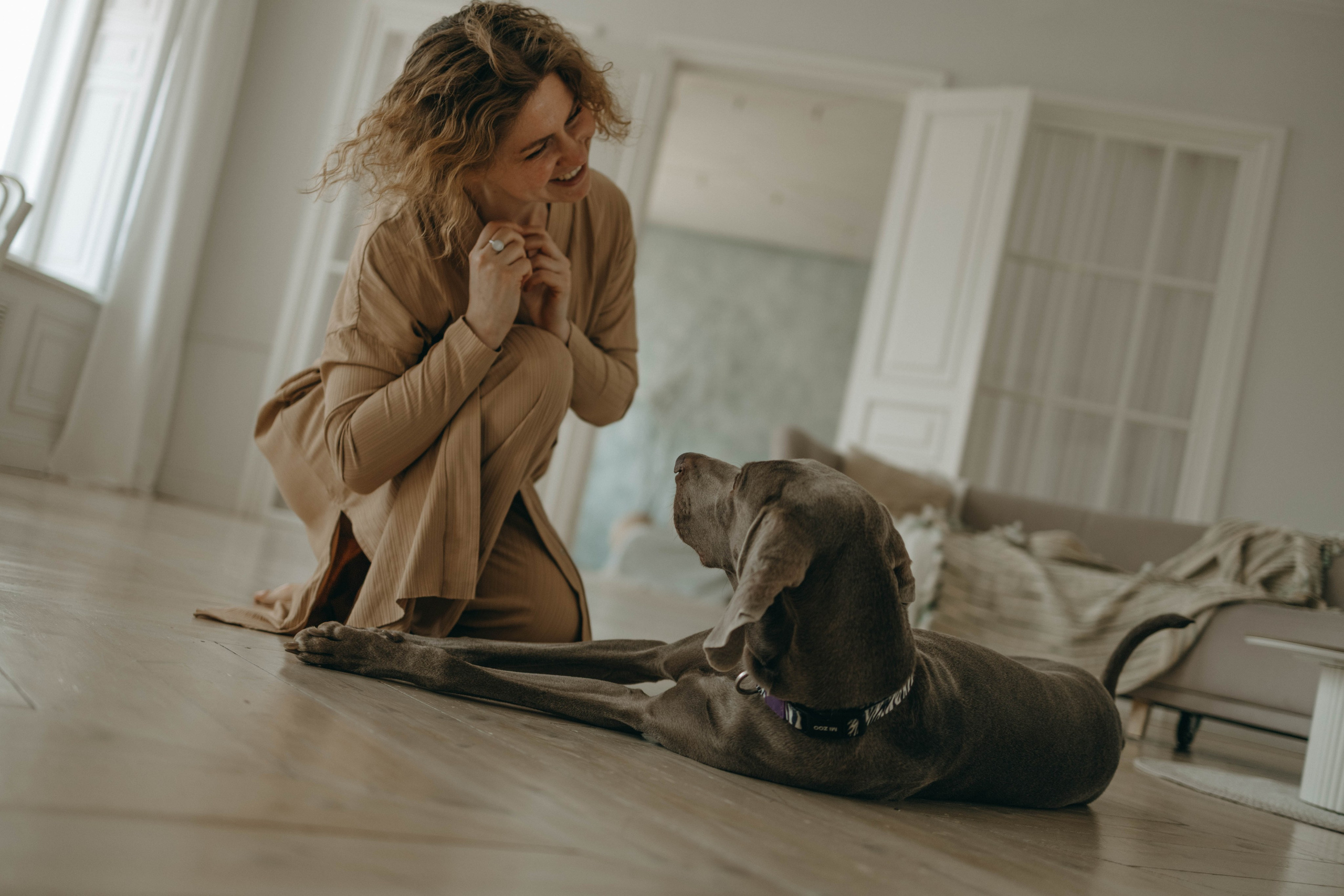 Фотосессия в студии с собакой. Фотограф-анималист в Екатеринбурге | Кристина