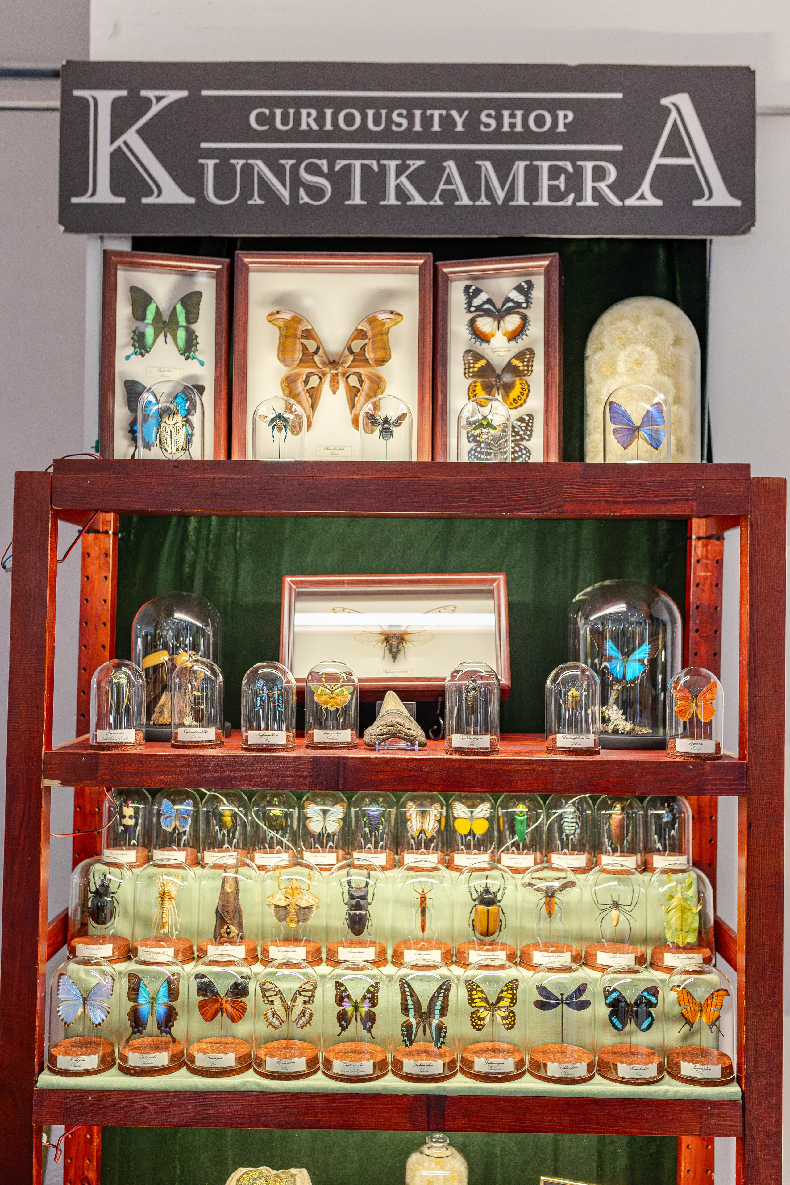 Монстериум апрель 2026. Александра Куликова фотограф, Москва