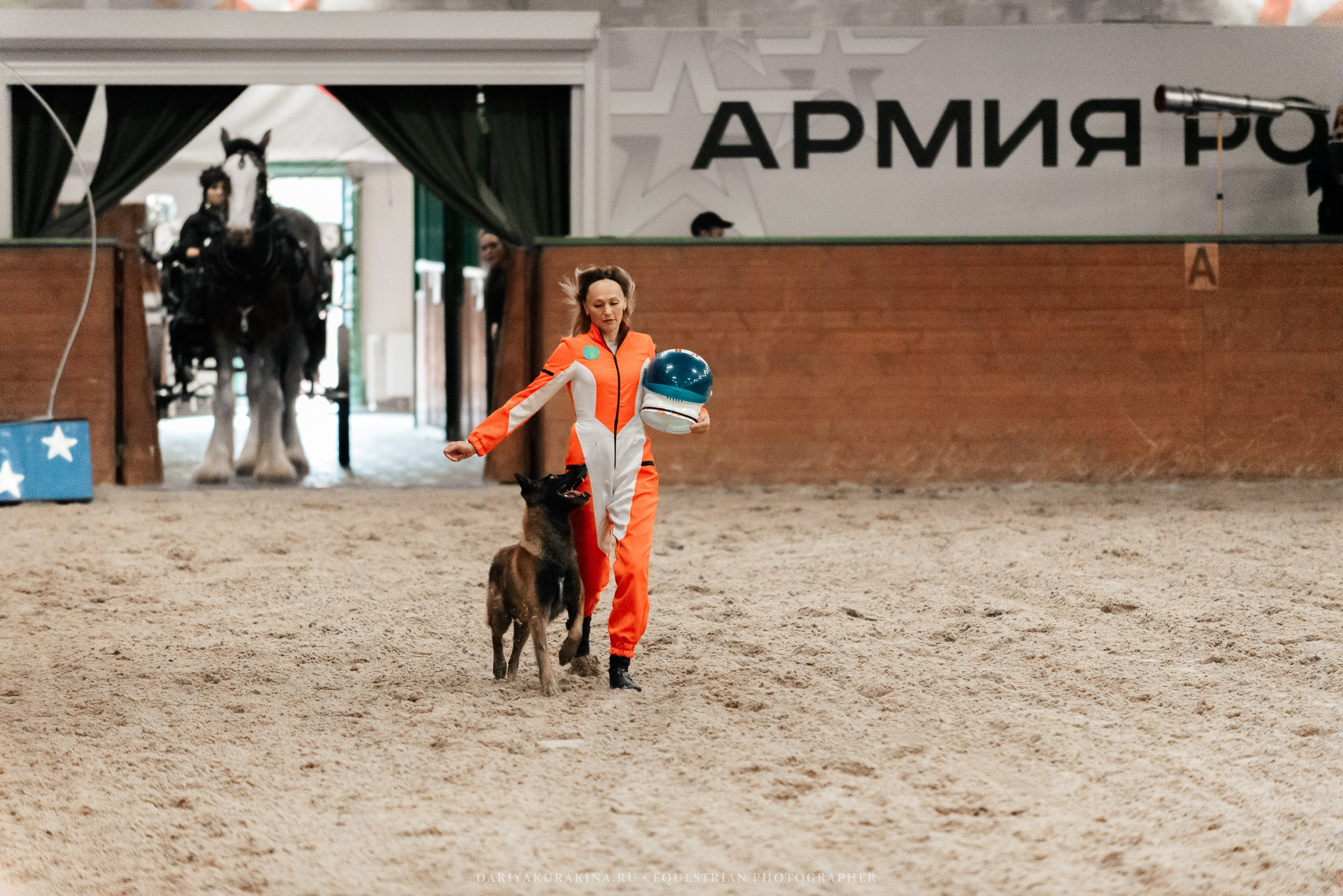 Конное представление «Дыхание Звёзд». Конный фотограф Куракина Дарья • Фотосессии с лошадьми
