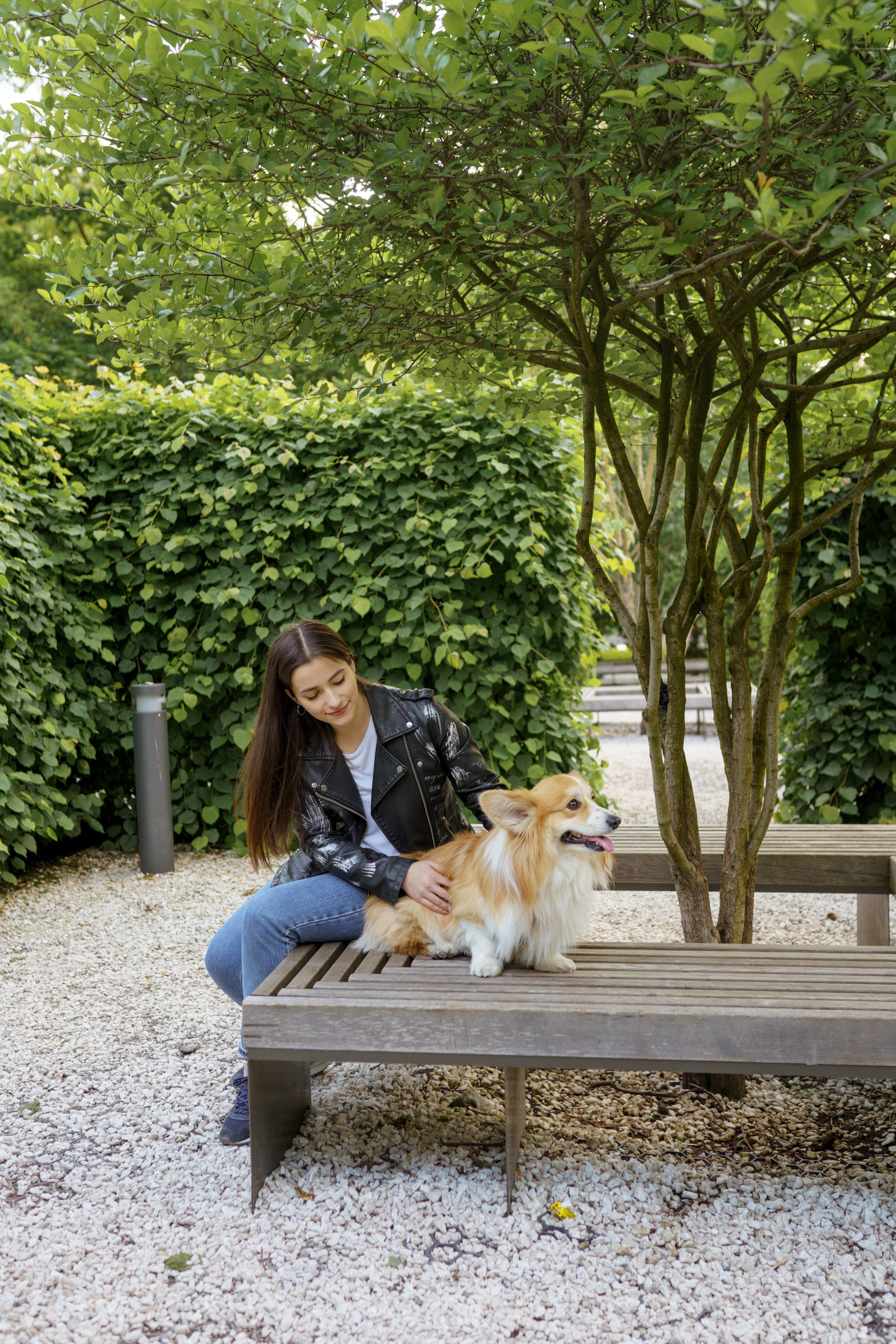 Катя, Арсений и Пух. Свадебный фотограф в Москве Анна Полушина