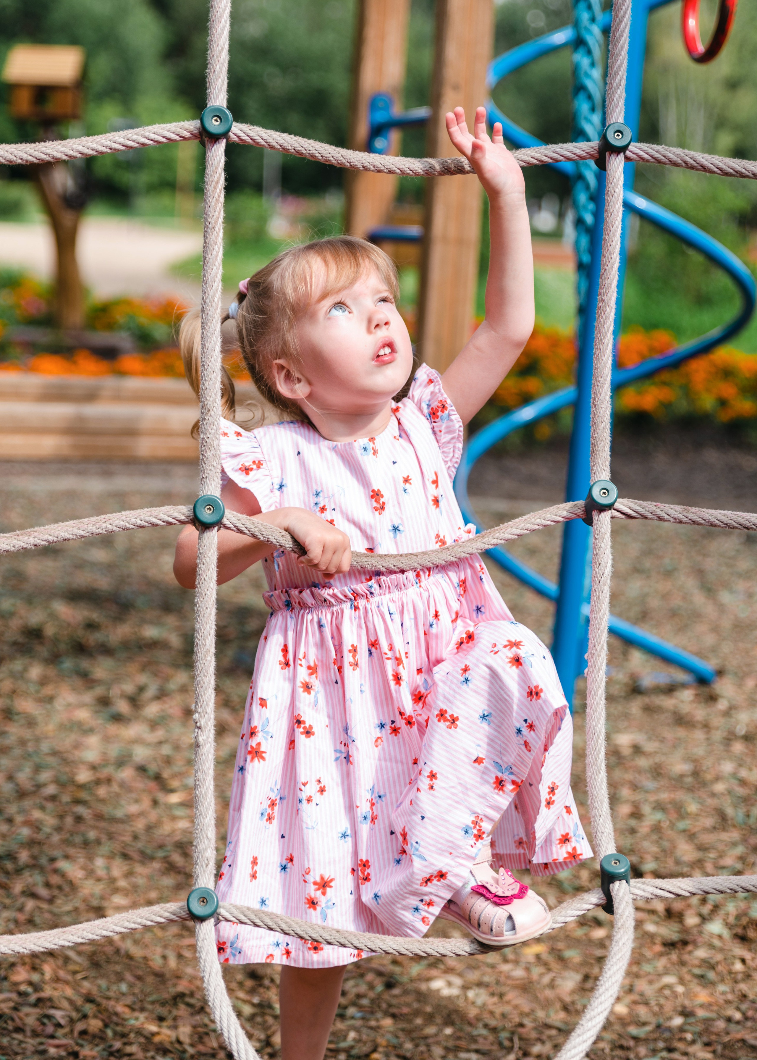 Доброе Сердце АиФ. Предметный и репортажный фотограф в Москве