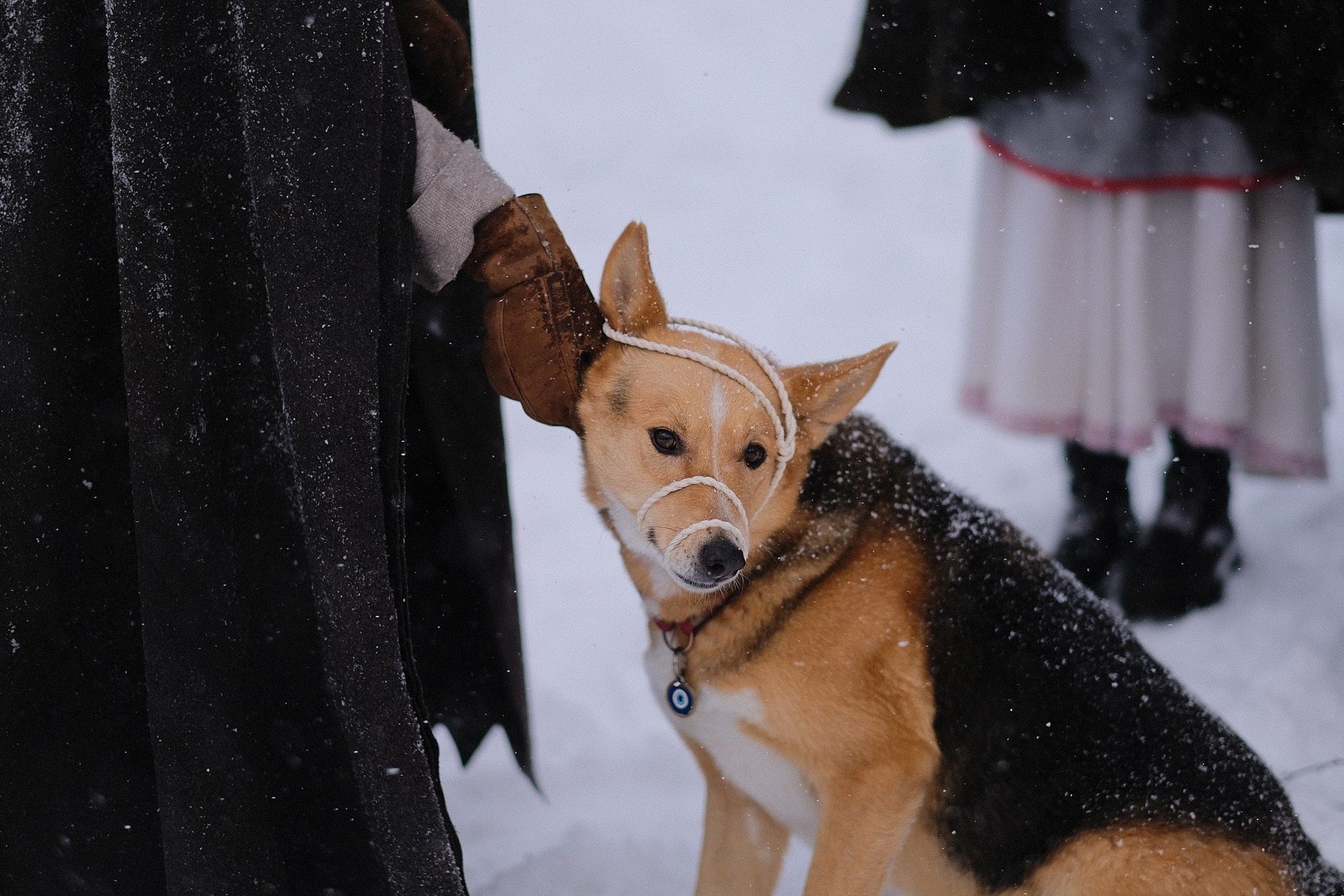 Герда, Лиса и их люди. Дмитрий Бречалов