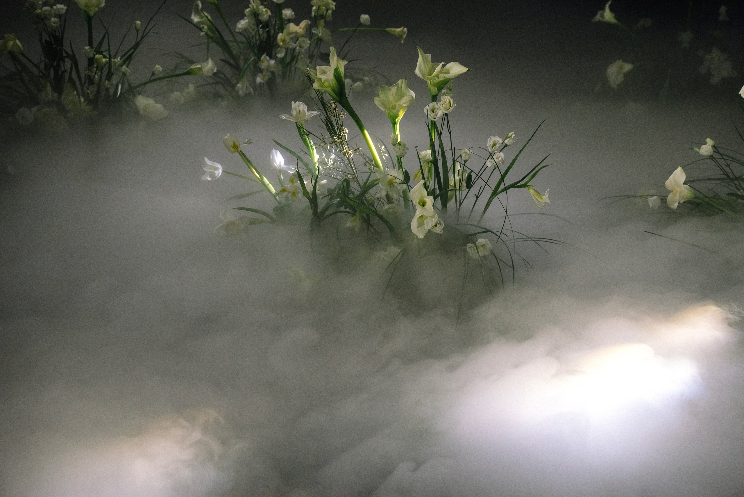 Люби меня люби!. Свадебный фотограф в Минске Тагай Наталья